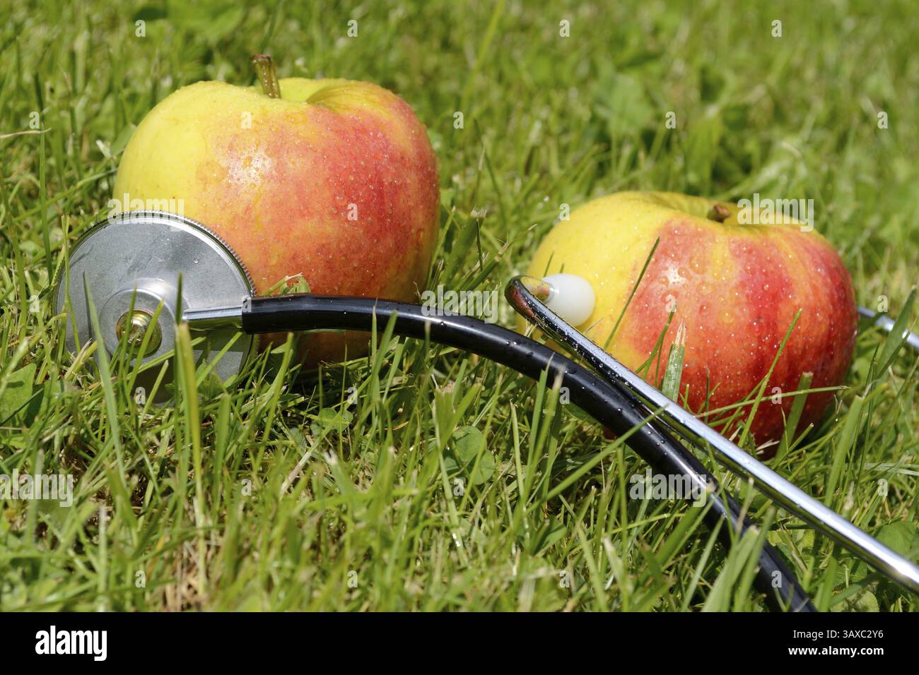 Deux pommes se trouvent dans le pré, reliées à un stéthoscope Banque D'Images