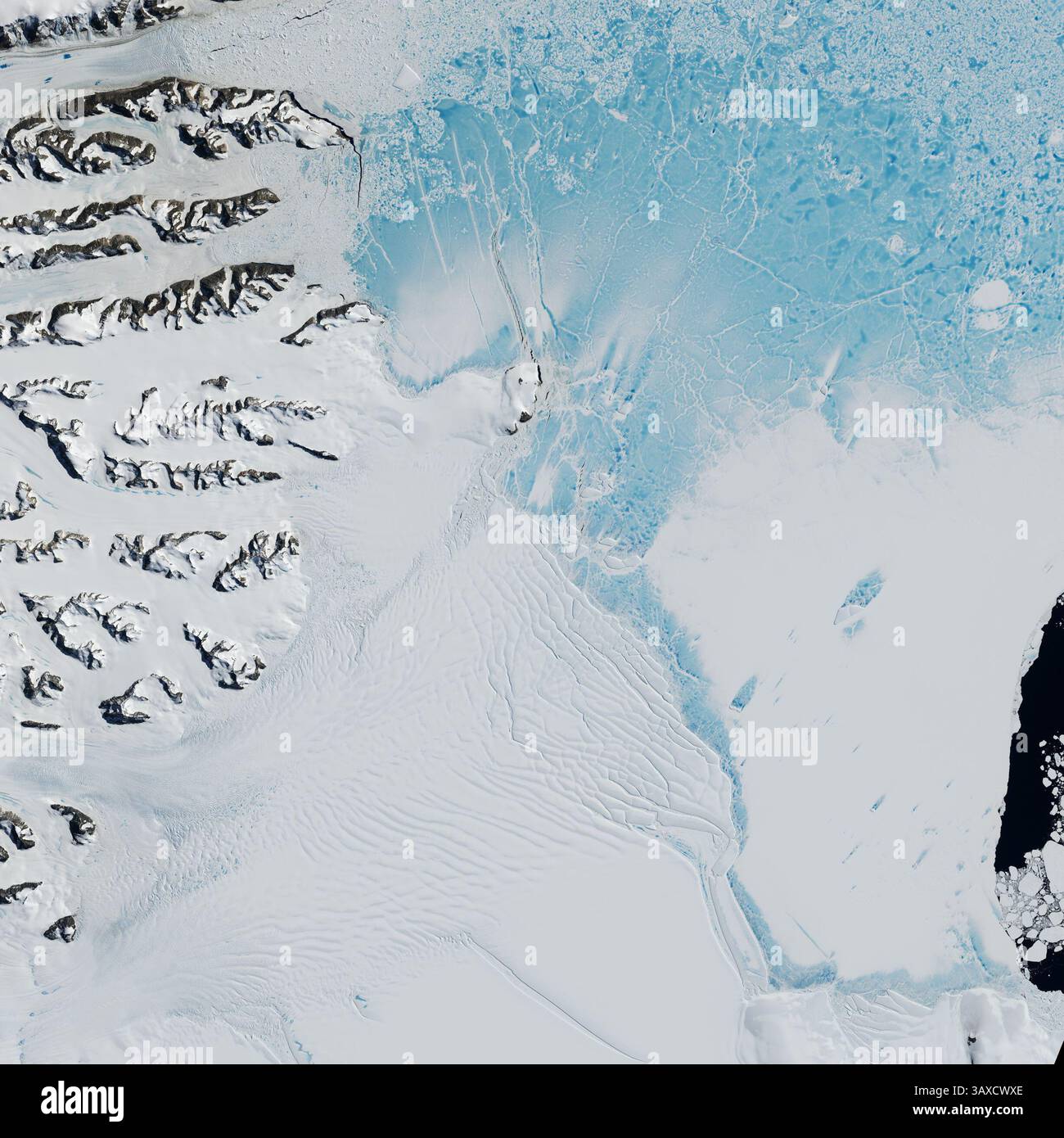 7 février 2017 - Antarctique - la plate-forme de glace Larsen est située le long de la côte nord-est de la péninsule Antarctique, l'un des endroits les plus chauds de la planète. Au cours des trois dernières décennies, deux grandes sections de la plate-forme de glace (Larsen A et B) se sont effondrées. Une troisième section (Larsen C) semble être sur une trajectoire similaire, avec un nouvel iceberg sur le point de se détacher bientôt. La mosaïque ci-dessus, centrée sur la partie nord de la plate-forme glaciaire Larsen, est composée de quatre images satellites en couleurs naturelles capturées par l'OLI (Operational Land Imager) sur Landsat 8 les 6 et 8 janvier 2016. Il affiche le rem Banque D'Images