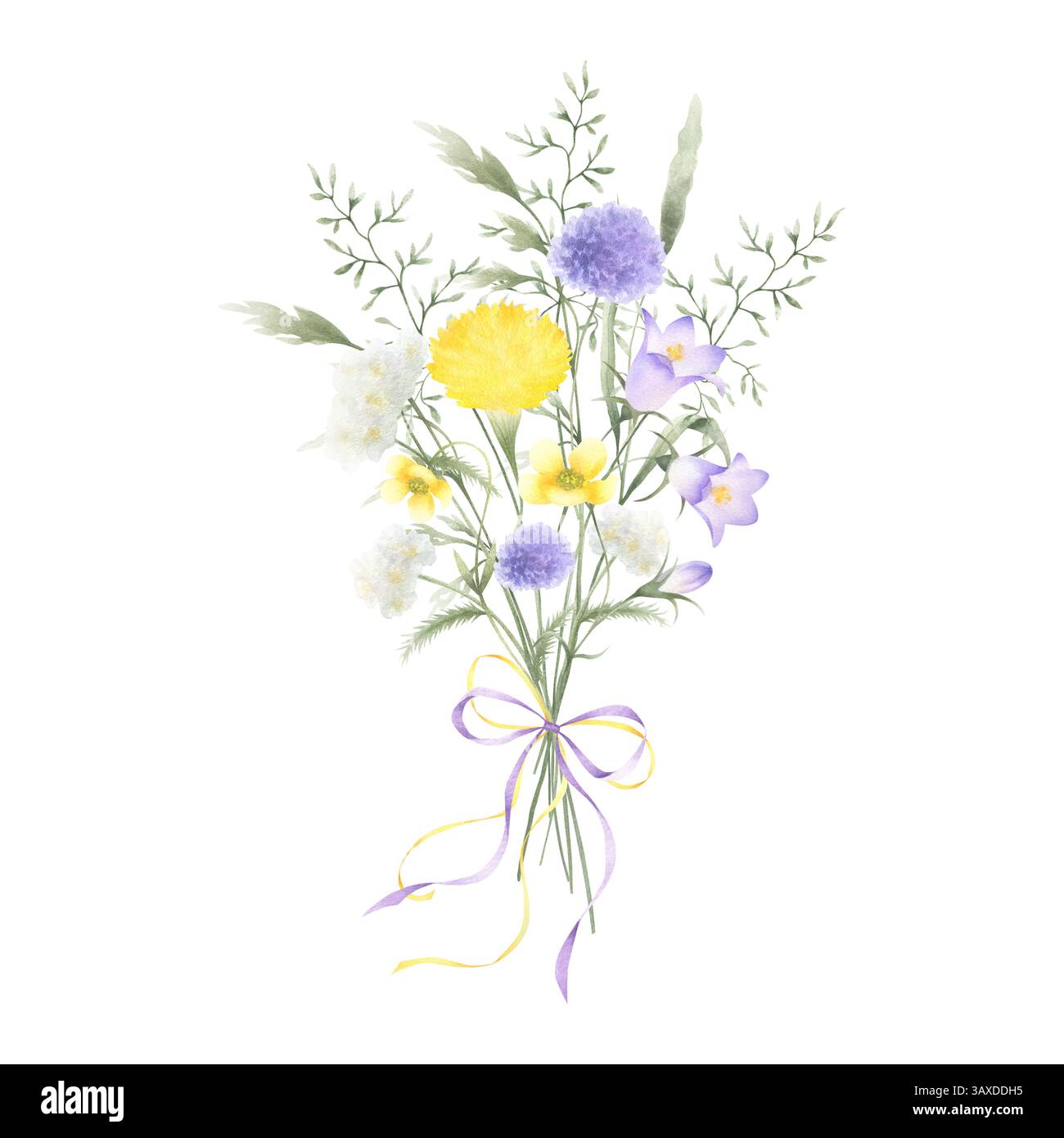 Bouquet d'aquarelle fleurs sauvages chellflower, pissenlit, papillon, verruelle et prairie herbes nouées arc. Illustration isolée dessinée à la main de jaune, Li Banque D'Images