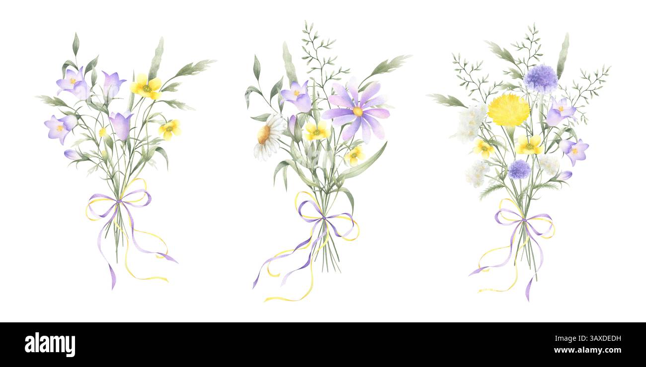 Bouquets de camomille de fleurs sauvages à l'aquarelle, de chausson, de pissenlit, de buttercup, de yarrow et d'herbes de prairie nouées arcs. Illustration isolée dessinée à la main Banque D'Images