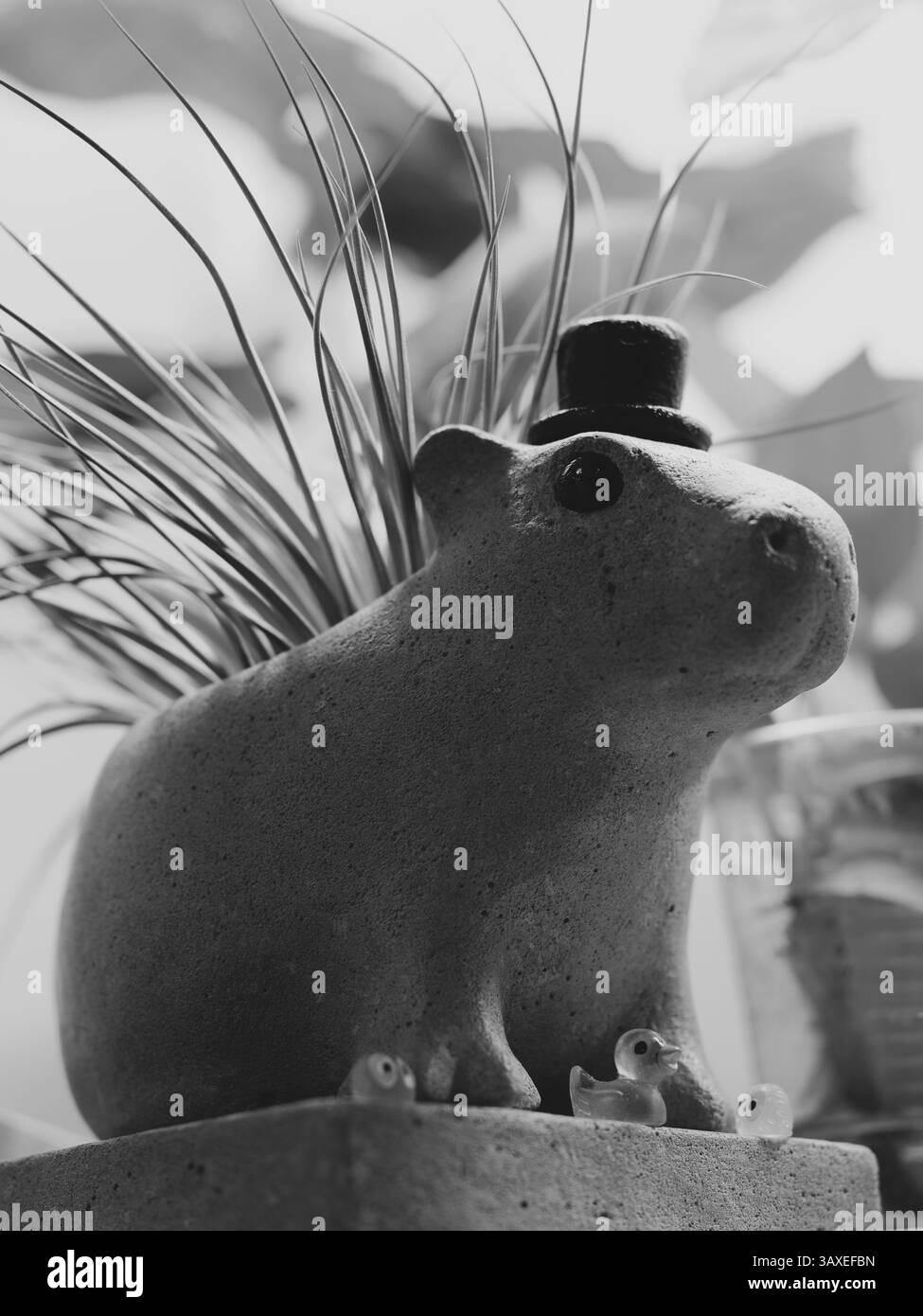 Représentation stylisée d'un charmant porc-épic dans un chapeau à la mode, en noir et blanc Banque D'Images
