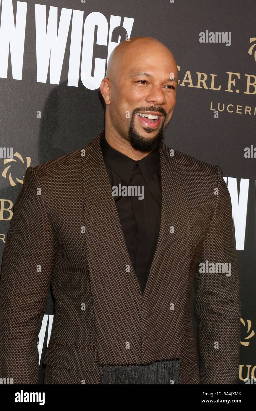 30 janvier 2017 - Los Angeles, CA, USA - LOS ANGELES - Jan 30 : commun à la première de ''John Wick : Chapter 2'' au ArcLight Theater le 30 janvier 2017 à Los Angeles, CA (image crédit : © Kathy Hutchins/Newscom via ZUMA Press) Banque D'Images