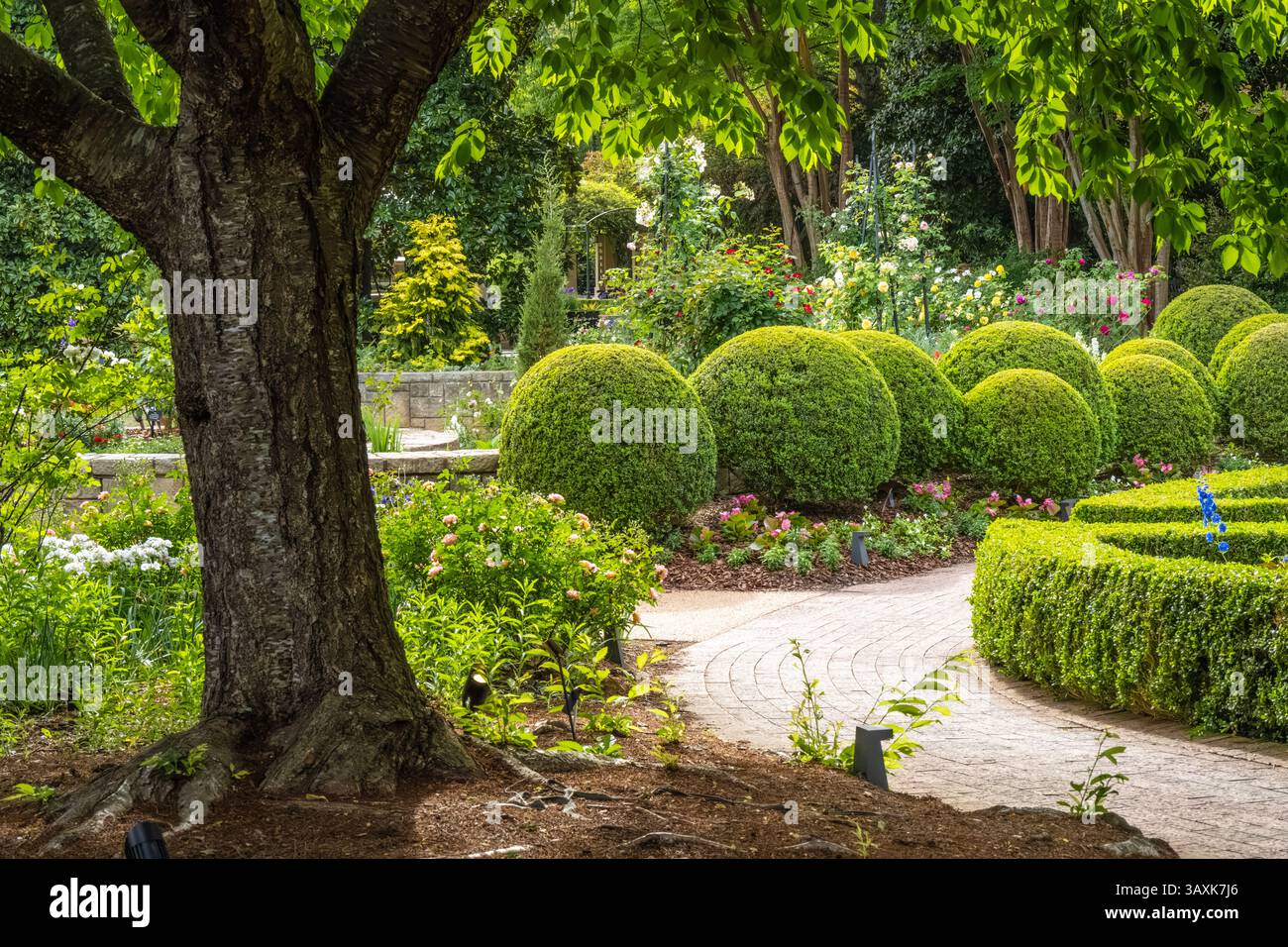 Printemps au jardin botanique d'Atlanta à Midtown Atlanta, Géorgie. (ÉTATS-UNIS) Banque D'Images