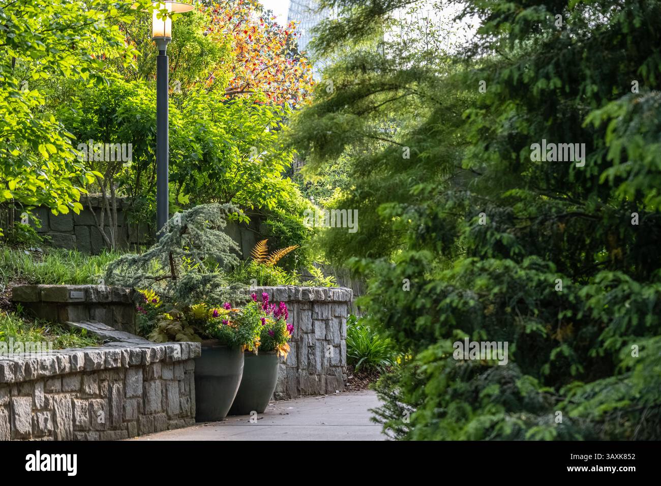 Promenade dans le jardin au jardin botanique d'Atlanta à Midtown Atlanta, Géorgie. (ÉTATS-UNIS) Banque D'Images