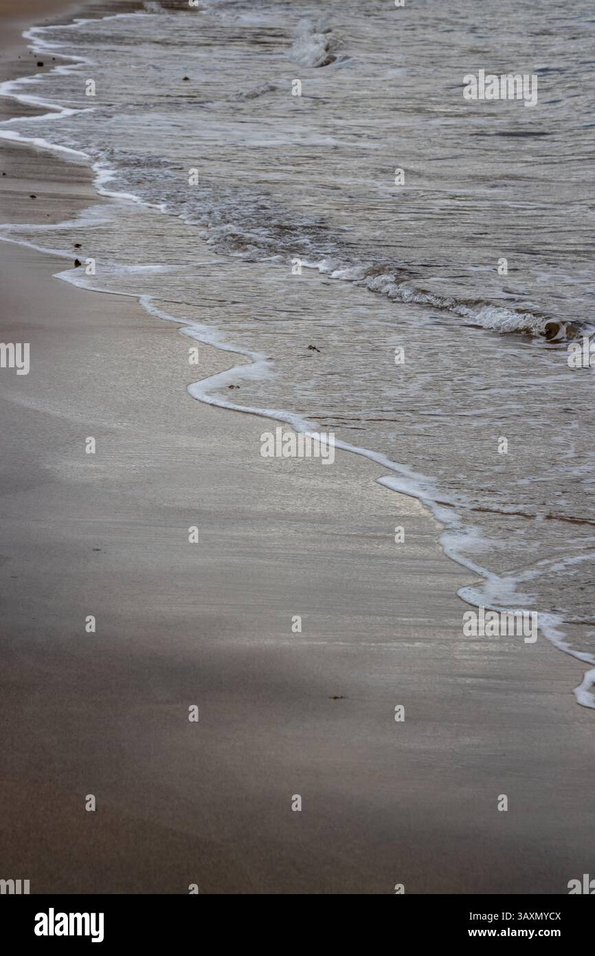 Plage de sable en début de soirée, lorsque le soleil est bas. Ligne de la marée et reflet du soleil, du ciel et des nuages. Playa del Cabron, Las Palmas, G. Banque D'Images