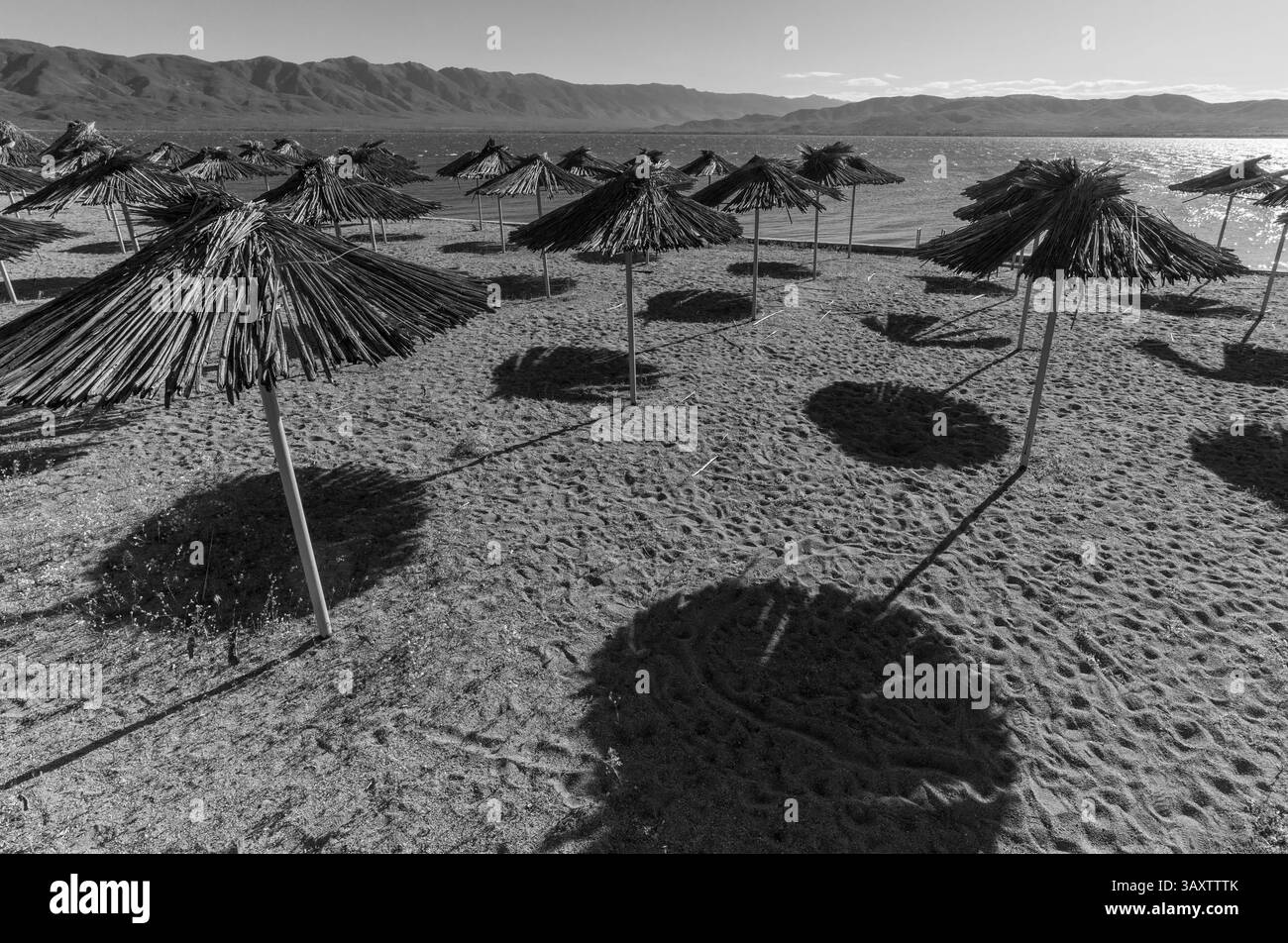 Silent Shade : parapluies de paille sur une plage vide. Plage monochrome. Banque D'Images