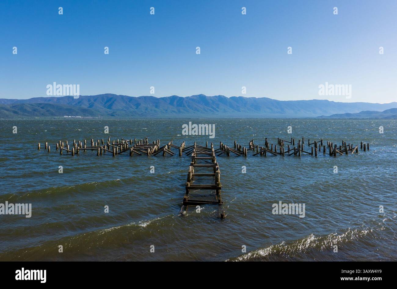 Forme en T : structure en bois révélée par le recul de l'eau du lac Banque D'Images