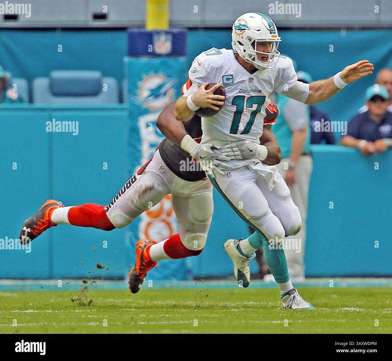 25 septembre 2016 - Miami, FL, États-Unis - Ryan Tannehill, quarterback des Miami Dolphins, est attrapé par Nate Orchard des Cleveland Browns au troisième quart-temps au Hard Rock Stadium le 25 septembre 2016 à Miami Gardens, en Floride. Les Dolphins battent les Browns 30-24 en prolongation. (Crédit image : © Charles Trainor Jr/TNS via ZUMA Wire) Banque D'Images