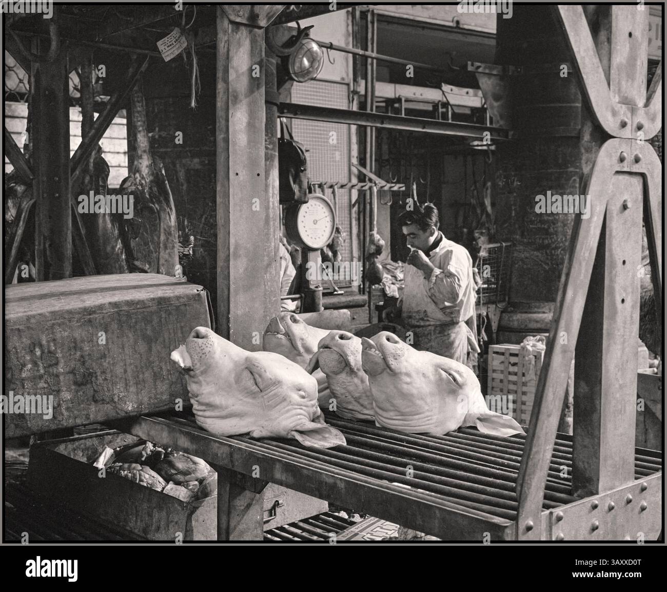 Millésime 1965 Paris marché de la viande avec têtes de cochons exposées rue Van de Poll vie à Paris commerce de viande aux Halles le marché de gros central (partiellement couvert) de Paris était situé sur la place du marché les Halles, où la viande, le poisson, les légumes et les fruits étaient fournis et échangés.1965 localisation : France, Paris Banque D'Images