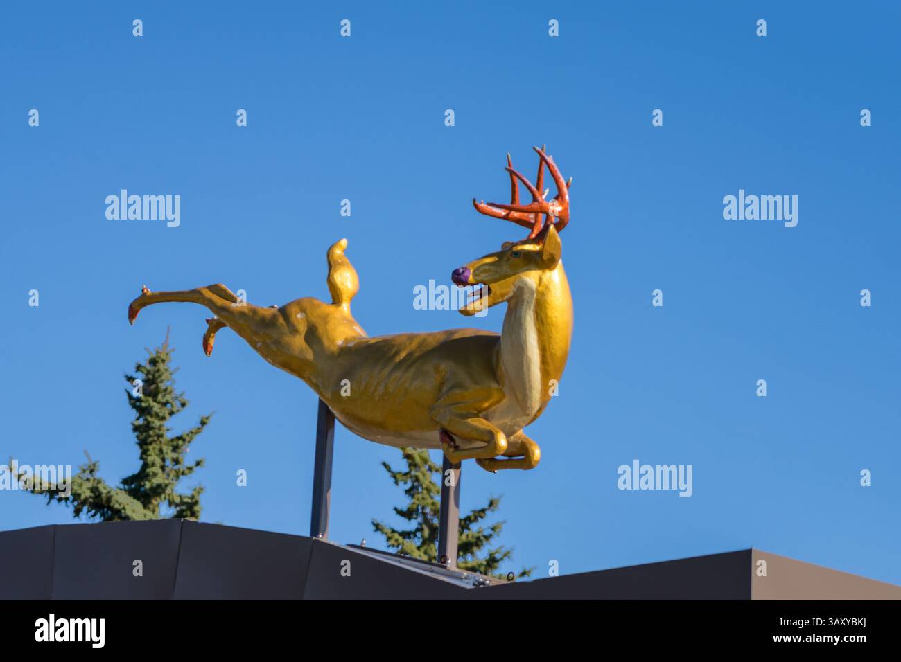Edmonton, Canada, 17 avril 2025 : sculpture 'High Jinx' (animal de cerf d'or) à l'arrêt Avonmore LRT par Paul Freeman. Banque D'Images