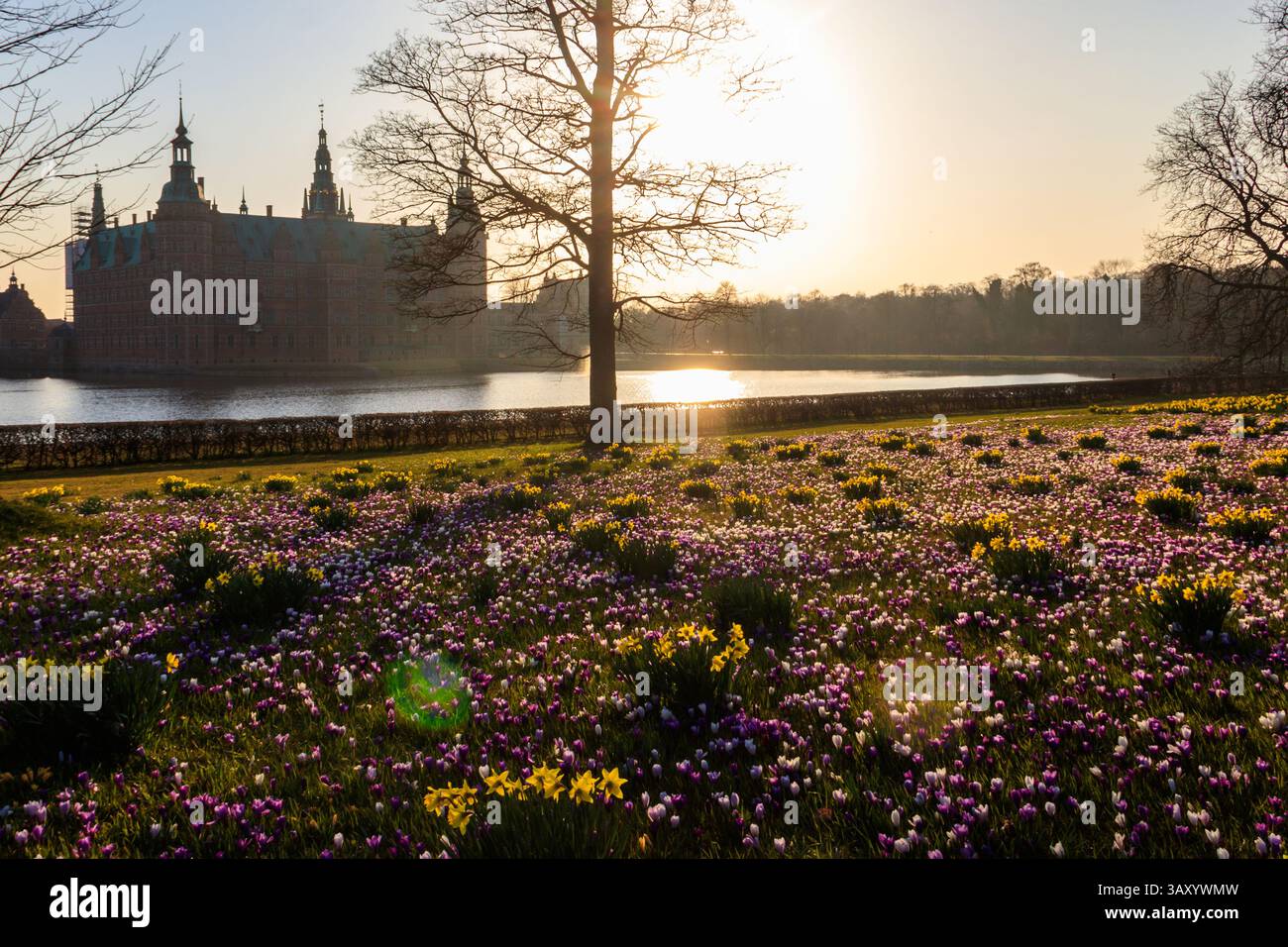 Vue sur le château de Frederiksborg à Hillerod, Danemark. Beau lac et jardin avec des crocodiles et des jonquilles en premier plan Banque D'Images