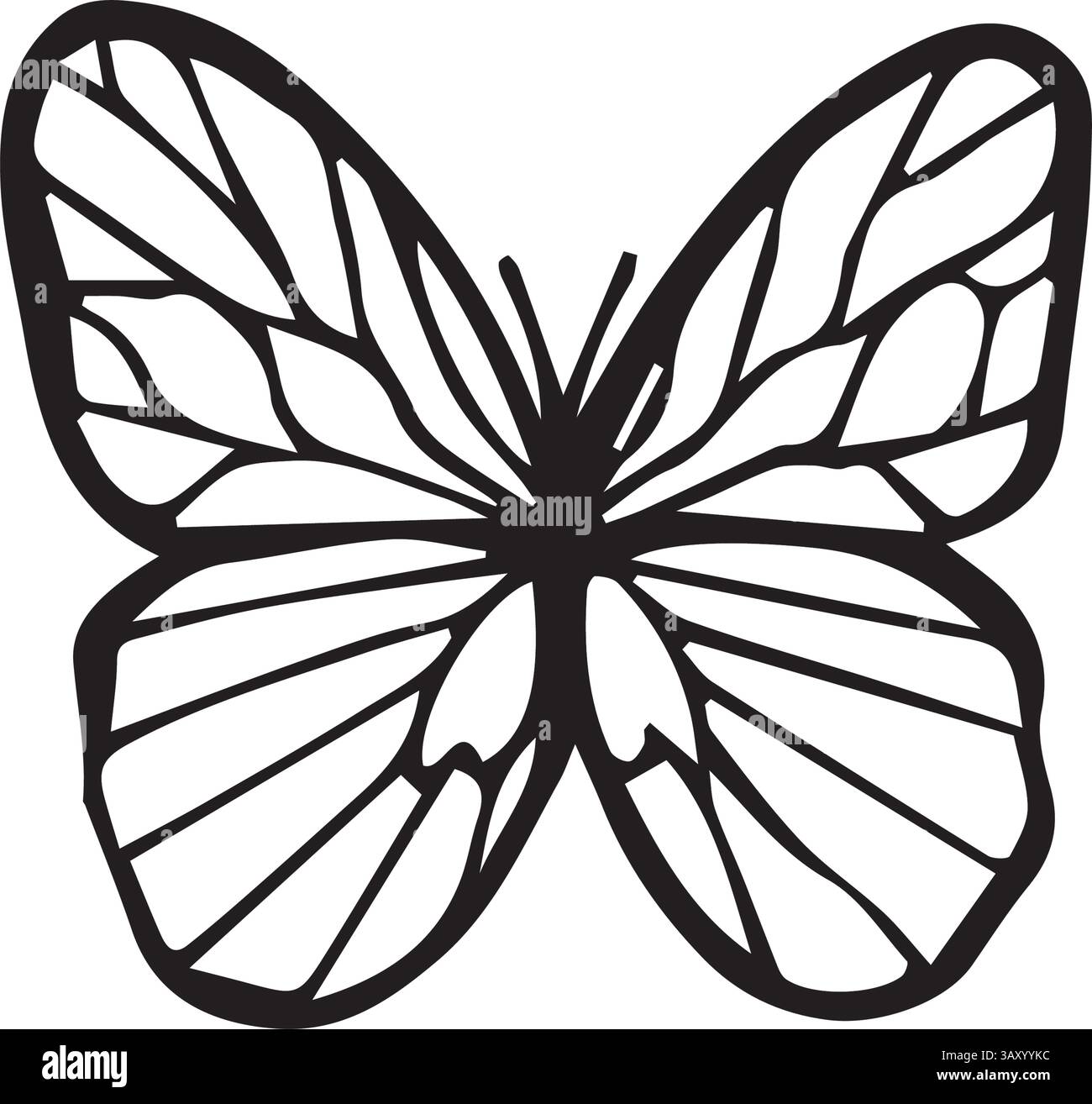 Graphique vectoriel papillon, adapté aux emballages de style écologique, aux thèmes botaniques et aux conceptions de mariage inspirées par le vintage illustration de haute qualité Illustration de Vecteur