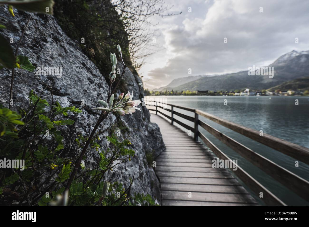 Bürglstein-Rundweg entlang des Ufers des Wolfgangsee zwischen Strobl und est Wolfgang mit Blick auf die umliegende Barglandschaft und Strobl zu Sonnenaufgang am 17.04.2025 // Bürglstein sentier circulaire le long de la rive du lac Wolfgang entre Strobl et Wolfgang avec vue sur le paysage environnant de barg et Strobl au lever du soleil sur 17.04.2025 - 20250417 PD17438 crédit : APA-PictureDesk/Alamy Live News Banque D'Images