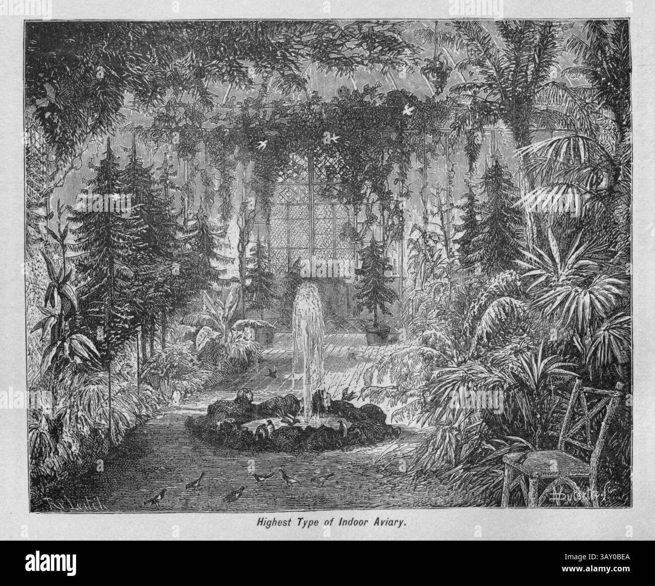 Plus haut type de volière d'intérieur tiré du livre ' Canaries and cage-Birds : the food, Care, Breeding, Diseases and Treatment of all House Birds ' par Holden, George Henry, 1848-1914 date de publication 1888 auto-publié à New York, Boston, Providence par G. H. Holden Banque D'Images