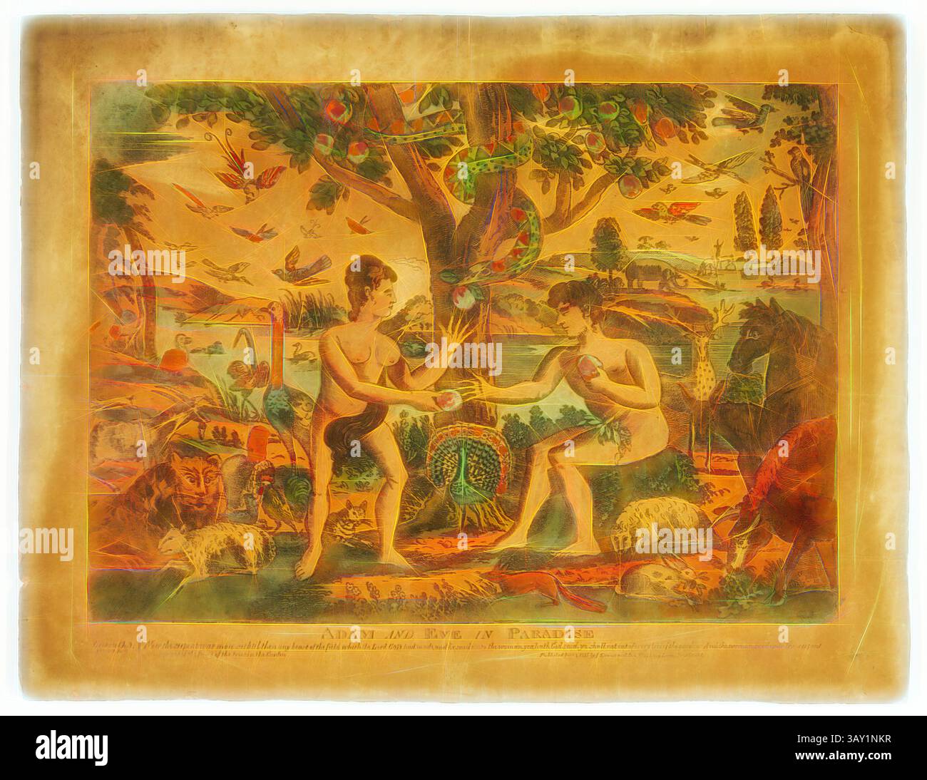 Une scène vibrante représentant deux personnages, Adam et Ève, dans un paradis luxuriant entouré d’une multitude d’animaux exotiques, de flore et de faune, symbolisant l’innocence et l’harmonie dans la nature. Les personnages s'engagent les uns avec les autres au milieu d'arbres colorés et d'un paysage riche grouillant de vie., Adam et Eve in Paradise, 1815, gravure imprimée en noir, colorée à la main, image : 13 1/8 x 18 1/8 po., Art classique avec une touche moderne réinventée par Artotop Banque D'Images