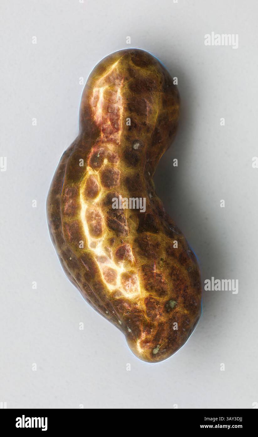 Un objet brillant, de forme irrégulière avec une surface texturée, présentant un mélange de teintes dorées et brunes qui réfléchissent la lumière d'une manière intrigante., Akan, africain, poids de gousse d'or, 17ème ou 19ème siècle, laiton, global : 7/8 × 3/8 × 3/8 pouces (2,2 × 1 × 1 cm), art classique avec une touche moderne réinventé par Artotop Banque D'Images