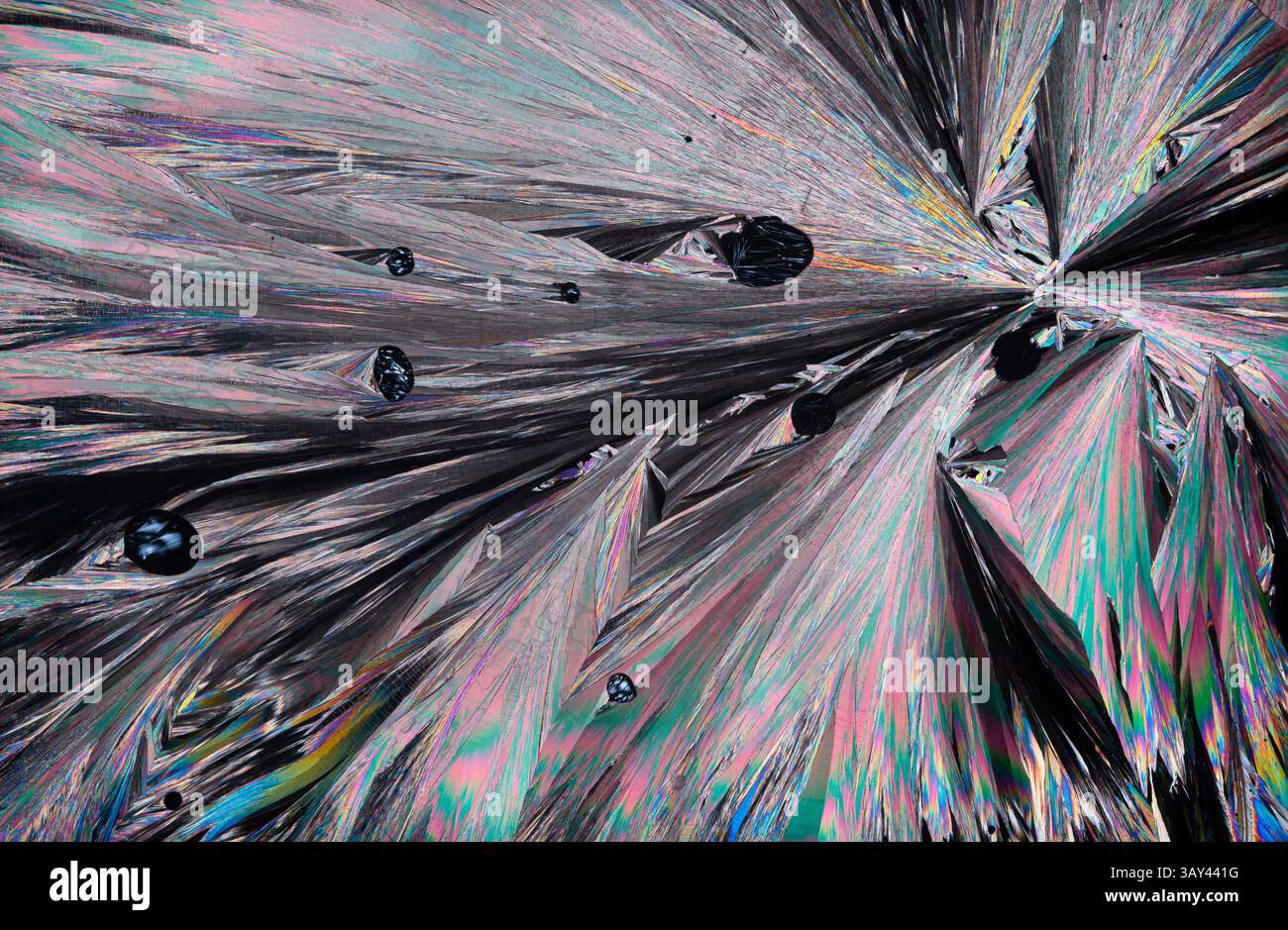 Superbe image microscopique mettant en valeur les motifs complexes et les couleurs vibrantes des cristaux d'acide hippurique. Nuances de rose, bleu, vert et argent cre Banque D'Images