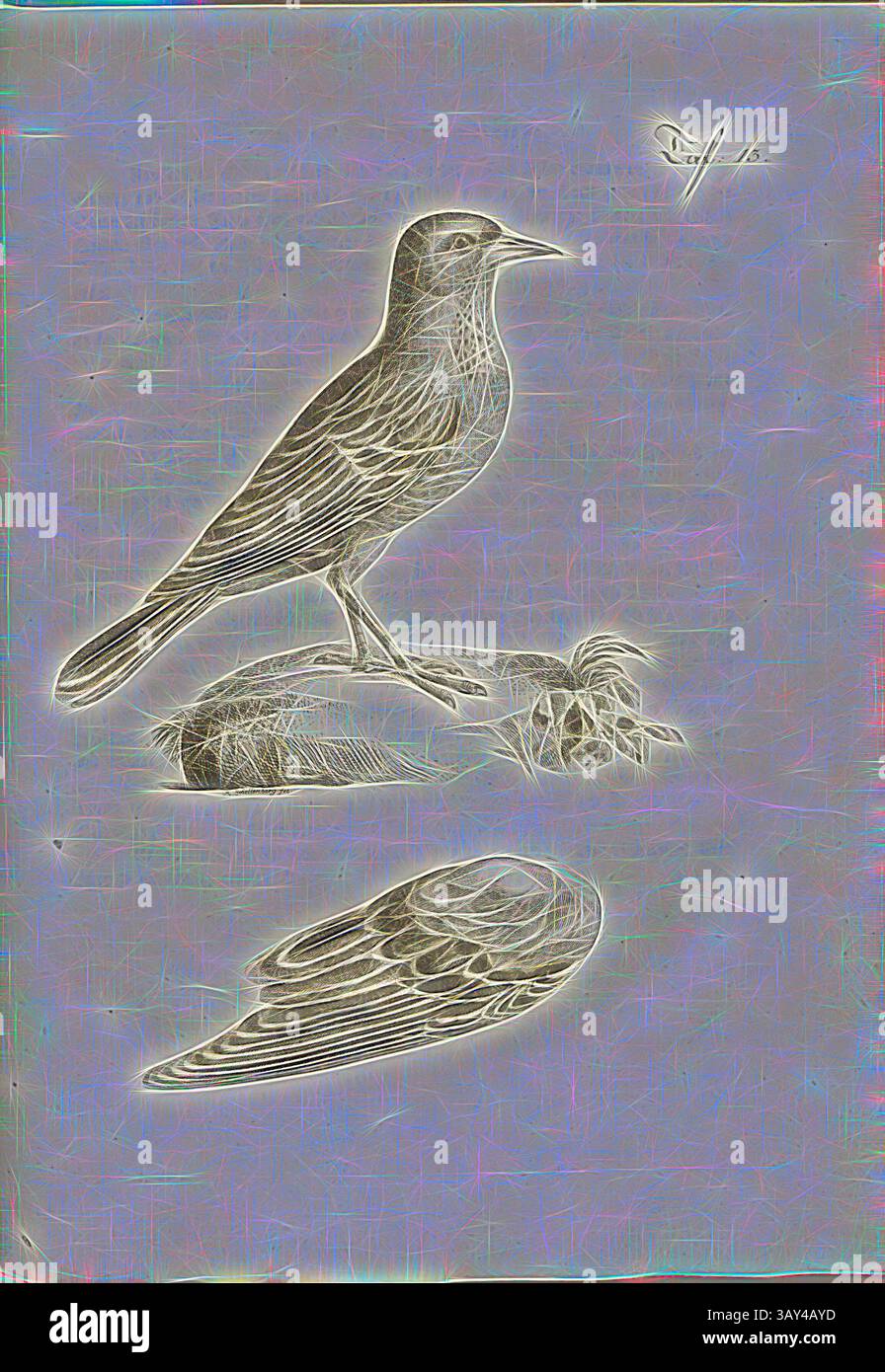 Représentation stylisée d'un oiseau perché sur une surface rocheuse, mettant en valeur un travail au trait complexe et un arrière-plan doux et éthéré. Le design souligne l'élégance de l'oiseau et de son environnement avec une qualité onirique., Singvogel, Lark, gravure sur cuivre, pl. 13, après p. 202, Johann Gerhard Reinhard Andreae, Briefe aus der Schweiz. Nach Hannover geschrieben in dem Jare 1763. Zürich [etc] : BEI Joh. Caspar Füessli Sohn [etc], 1776, Art classique avec une touche moderne réinventée par Artotop Banque D'Images