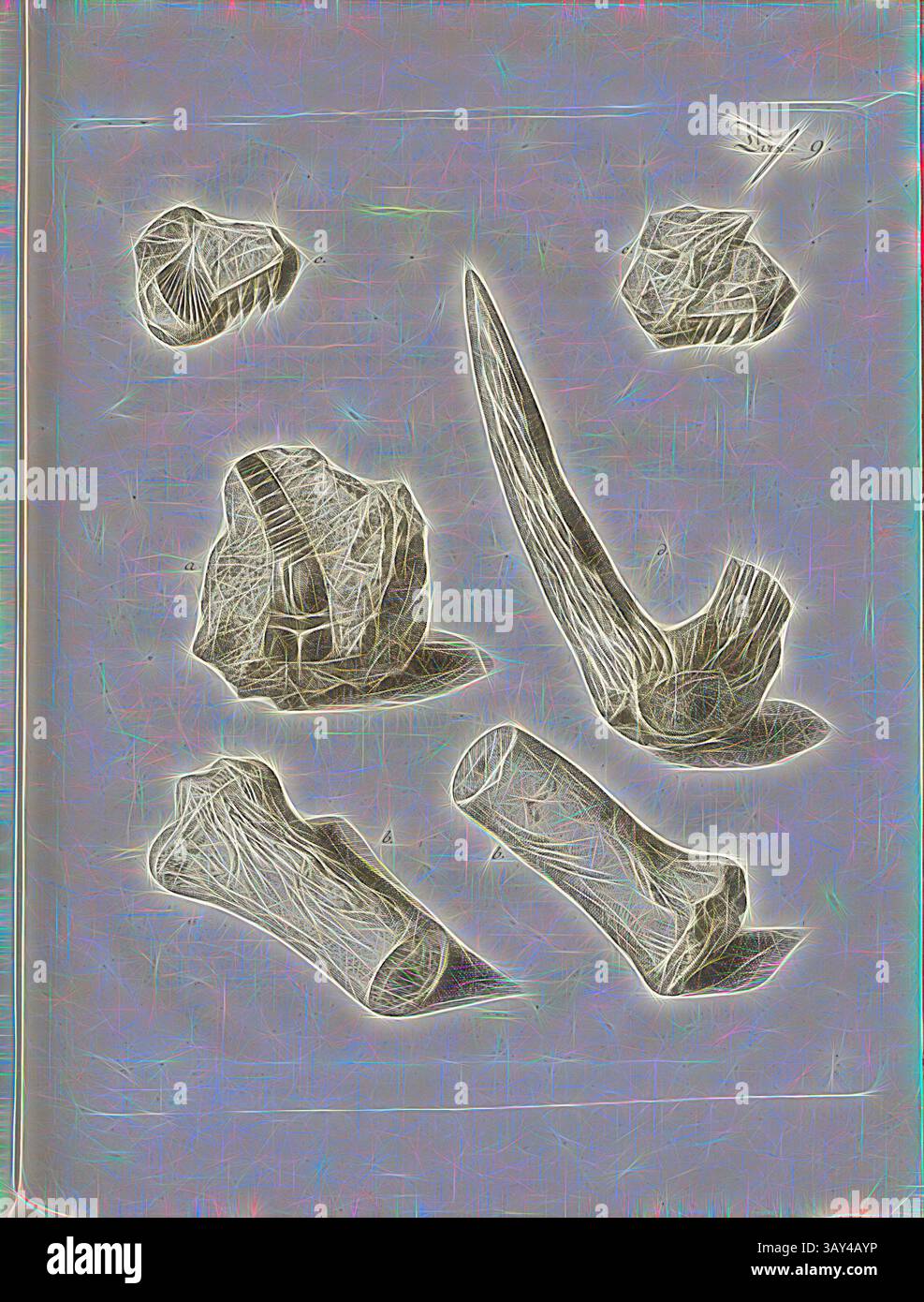 Une collection de restes fossilisés, de formes et de tailles variées, présentant les textures complexes et les détails des formes de vie anciennes., fossiles 4, pétrification dans la chaux ; parties de bois et de tortues, plaque de cuivre, plaque 9, après p. 60, Johann Gerhard Reinhard Andreae, Briefe aus der Schweiz. Nach Hannover geschrieben in dem Jare 1763. Zürich [etc] : BEI Joh. Caspar Füessli Sohn [etc], 1776, Art classique avec une touche moderne réinventée par Artotop Banque D'Images