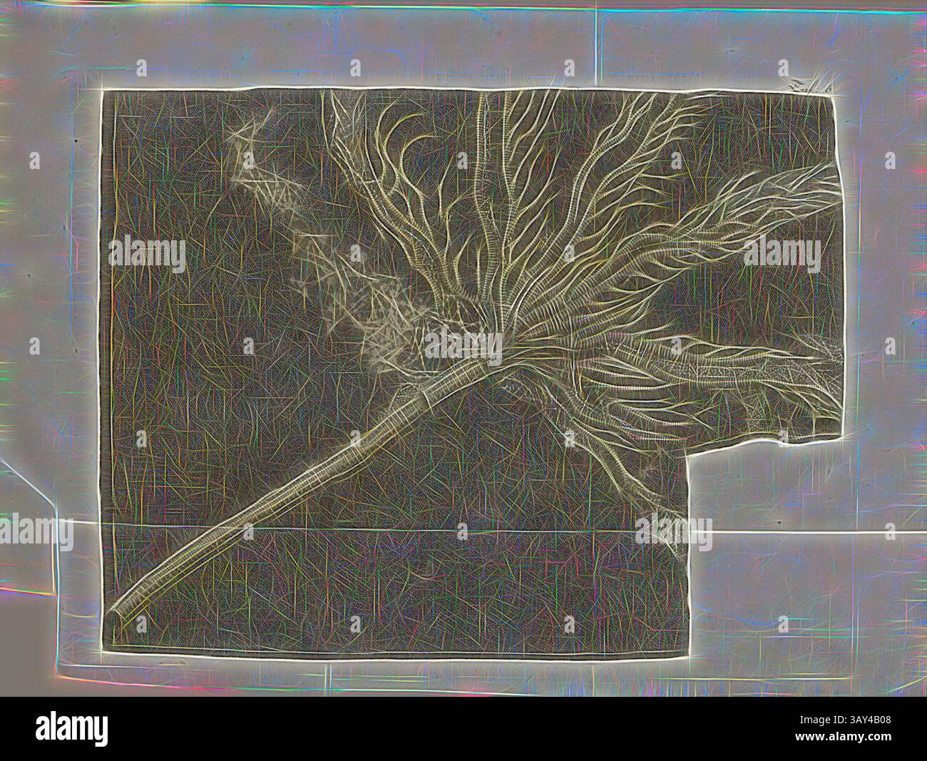 Une feuille délicate avec des veines complexes et une tige allongée, présentée sur un fond texturé, soulignant ses motifs et contours naturels., fossile 1, pétrification en ardoise ; Encrinus ou medusa pédoncule, gravure sur cuivre, pl. 6, après p. 42, Johann Gerhard Reinhard Andreae, Briefe aus der Schweiz. Nach Hannover geschrieben in dem Jare 1763. Zürich [etc] : BEI Joh. Caspar Füessli Sohn [etc], 1776, Art classique avec une touche moderne réinventée par Artotop Banque D'Images