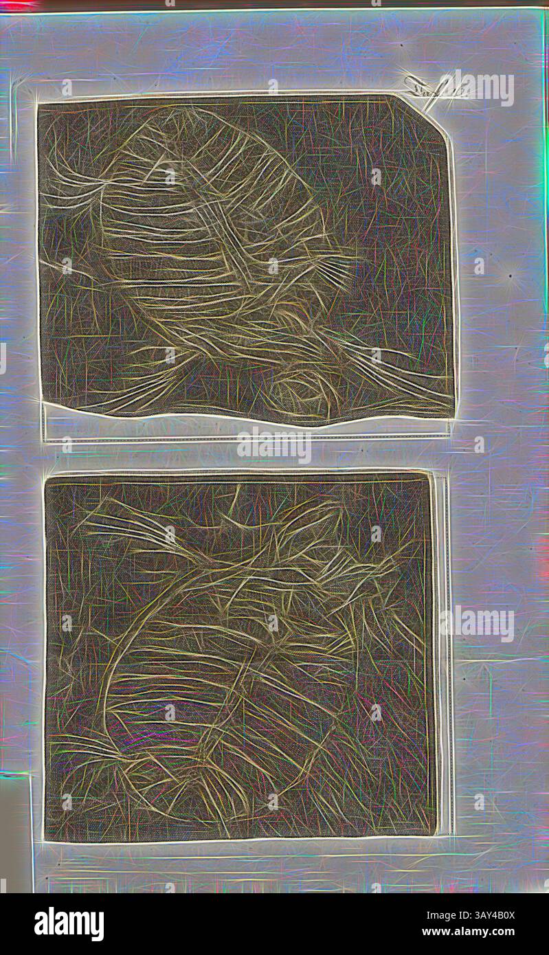 Deux illustrations complexes de poissons, chacune présentant des motifs et des textures uniques, disposées verticalement avec un fond sombre améliorant leurs détails., Fossil 2, ardoise Glarner avec pétrification, double impression d'une tortue, gravure sur cuivre, planche 16, après p. 330, Johann Gerhard Reinhard Andreae, Briefe aus der Schweiz. Nach Hannover geschrieben in dem Jare 1763. Zürich [etc] : BEI Joh. Caspar Füessli Sohn [etc], 1776, Art classique avec une touche moderne réinventée par Artotop Banque D'Images