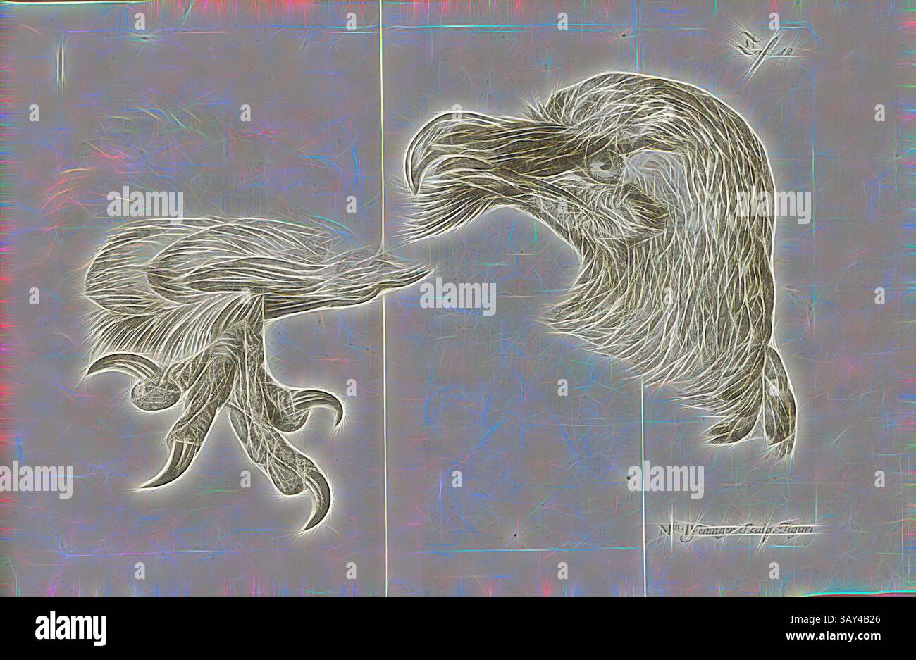 Une représentation stylisée de la tête et de la griffe d'un aigle, mettant en évidence un travail au trait complexe et un sens du mouvement, capturant l'essence de l'oiseau majestueux., Raubvogel 1, Head and Caw of the Lammergeier, Copperplate, planche 12, après la page 200, Pfeninger, MTH. (Sculp.), Johann Gerhard Reinhard Andreae, Briefe aus der Schweiz. Nach Hannover geschrieben in dem Jare 1763. Zürich [etc] : BEI Joh. Caspar Füessli Sohn [etc], 1776, Art classique avec une touche moderne réinventée par Artotop Banque D'Images