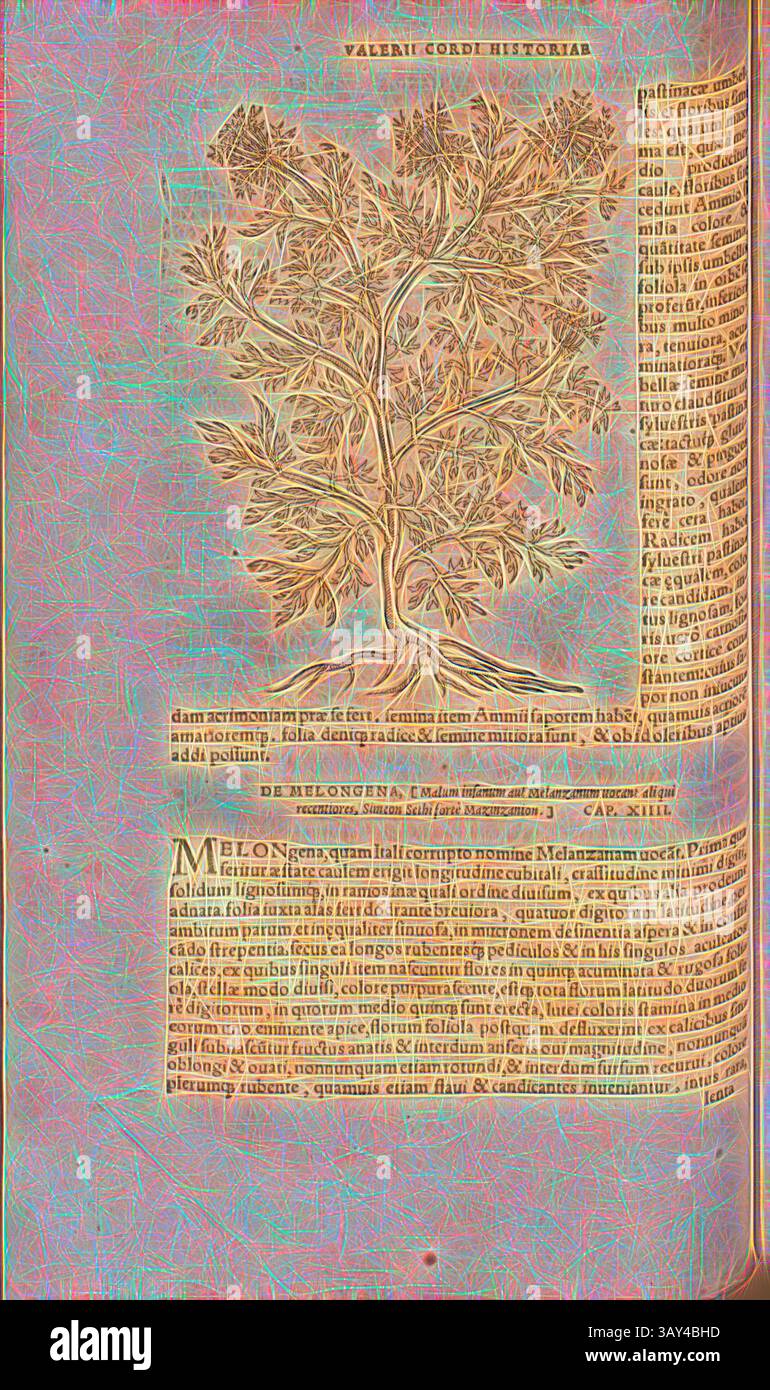 Une illustration d'arbre au design complexe entourée de texte, avec des références historiques et des descriptions dans un script classique. Les branches et les feuilles de l'arbre sont rendues artistiquement, symbolisant la nature, tandis que le texte environnant plonge dans des sujets liés à l'histoire et à la connaissance., Gingidium, illustration d'une plante appelée Gingidium du XVIe siècle, Fig. 11, p. 90r, 1561, Valerius Cordus, Konrad Gessner, Benedictus Aretius, Pedanius Dioscorides : in hoc volumine continentur Valerii Cordi Simesusii annotationes in Pedacii Dioscoridis Anazarbei de medica materia libros V Banque D'Images