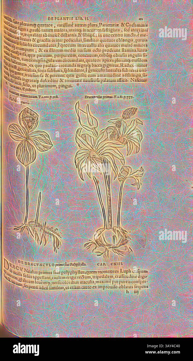 Une illustration de plusieurs espèces d'orchidées, présentant des croquis botaniques détaillés. Les dessins mettent en évidence les formes et les structures uniques des fleurs, accompagnées de descriptions scientifiques et d'annotations., monococcum d'ammonium, la première Gynatrix, illustration d'un chapeau de fer du XVIe siècle et d'une tête de dragon, Fig. 121, p. 152r, 1561, Valerius Cordus, Konrad Gessner, Benedictus Aretius, Pedanius Dioscorides : in hoc volumine continentur Valerii Cordi Simesusii annotationes in Pedacii Dioscoridis Anazarbei de medica materia libros V. [...]. Argentorati : excudebat Josias Rihelius 1561, classique Banque D'Images