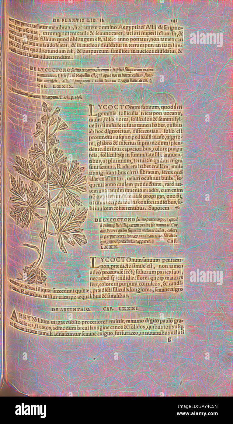 Une page illustrée présentant des dessins botaniques détaillés accompagnés d'un texte latin. La page traite de diverses plantes, soulignant leurs propriétés et leurs utilisations en phytothérapie. Les illustrations gravées présentent des motifs foliaires complexes et des fleurs, accentuant l'orientation scientifique du texte., Lycoctonum sativum tricarpum, illustration d'une plante appelée Lycoctonum sativum tricarpum du XVIe siècle, Fig. 108, p. 145r, 1561, Valerius Cordus, Konrad Gessner, Benedictus Aretius, Pedanius Dioscorides : in hoc volumine continentur Valerii Cordi Simesusii annotationes in Pedacii Dioscoridis Anazarbei de Banque D'Images