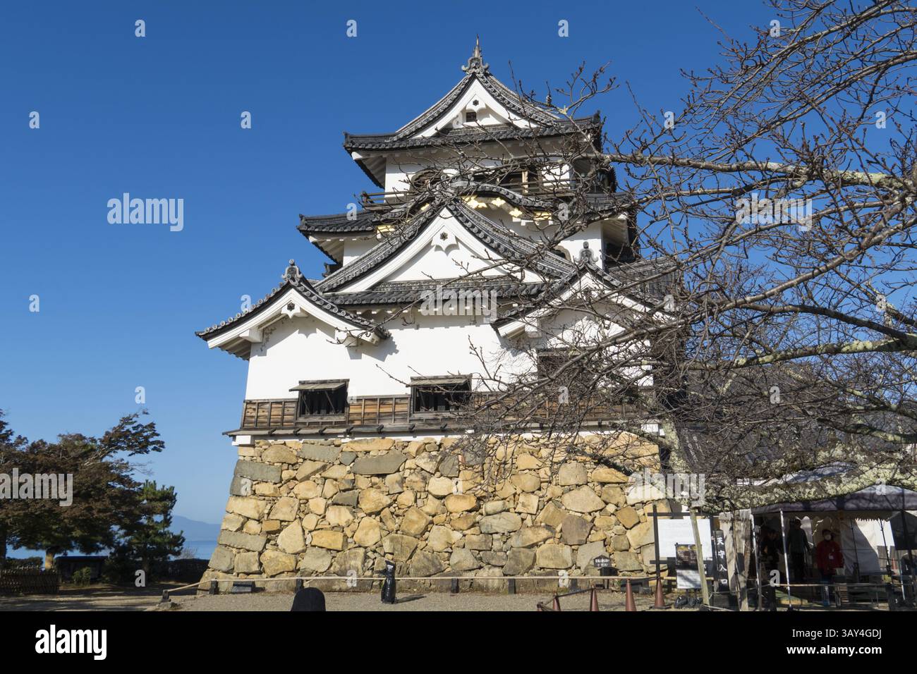 Château de Hikone en automne, une forteresse de l'époque d'Edo et un trésor national désigné du Japon. Banque D'Images