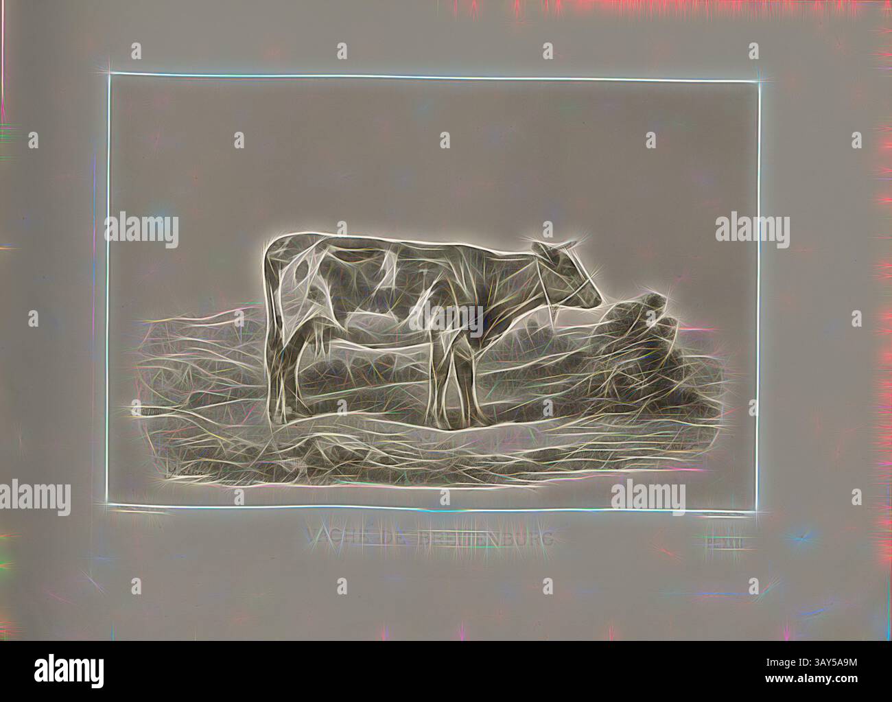 Représentation stylisée d'une vache debout sur un sol inégal, avec un effet lumineux, soulignant ses caractéristiques et la texture de l'environnement., vache de Breitenburg, bétail de Breitenburg, vache, signé : I. Melin ; PHOT., Nadar jeune ; A. Riffaut Heliog., et Sculp, PL. XXXI, p. 75, Melin, I. ; Tournachon, Adrien Alban (Phot.) ; Riffaut, A. (Heliog. et SC.), Emile Baudement : les races bovines au concours universel agricole de Paris en 1856 : études zootechniques. BD Paris : imprimerie Impériale, MDCCCLXI [1861], Art classique avec une touche moderne réinventé par Artotop Banque D'Images