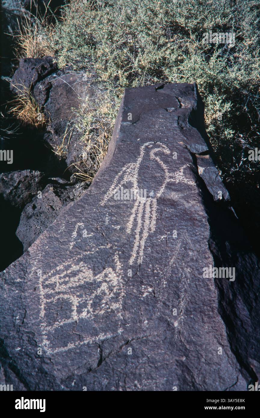 D'anciens pétroglyphes amérindiens sculptés dans des roches au monument national de Petroglyph à Albuquerque, Nouveau-Mexique. Banque D'Images