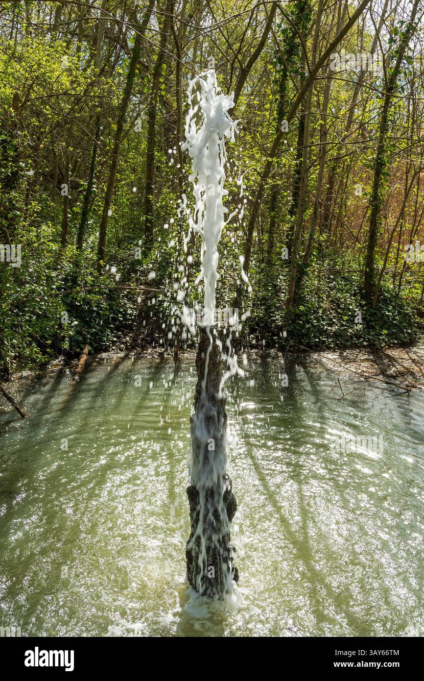 Le geyser de la source de Brissac. Eau minérale. Sainte Marguerite, Saint Maurice es Allier, Puy de Dôme, France Banque D'Images