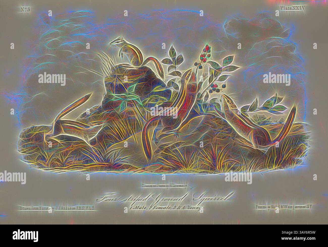 Une scène fantaisiste mettant en vedette des créatures allongées et stylisées entourées de feuillage et de baies vibrantes, créant une atmosphère enchanteresse dans un environnement luxuriant., The Quadrupeds of North America (volume 1), John James Audubon (américain, 1785-1851), 1849-1854, encre sur papier, volume relié, 10-1/2 x 7-1/2 x 1-5/8 po., art classique avec une touche moderne réinventée par Artotop Banque D'Images