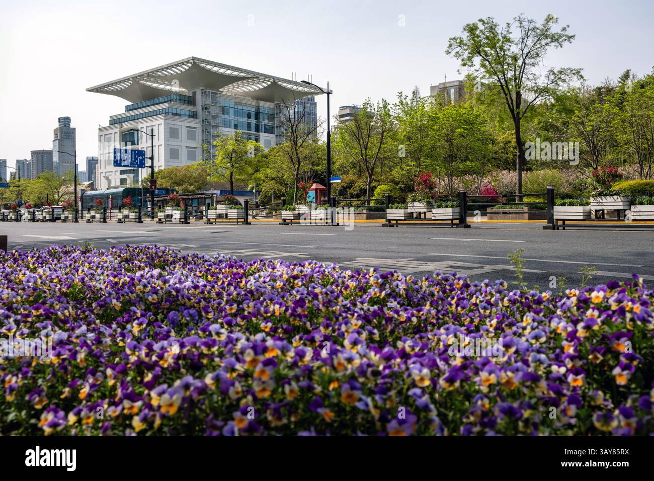 Parterre de fleurs sur une rue de la ville à Shanghai Chine, bâtiments modernes et fond de ciel nuageux Banque D'Images