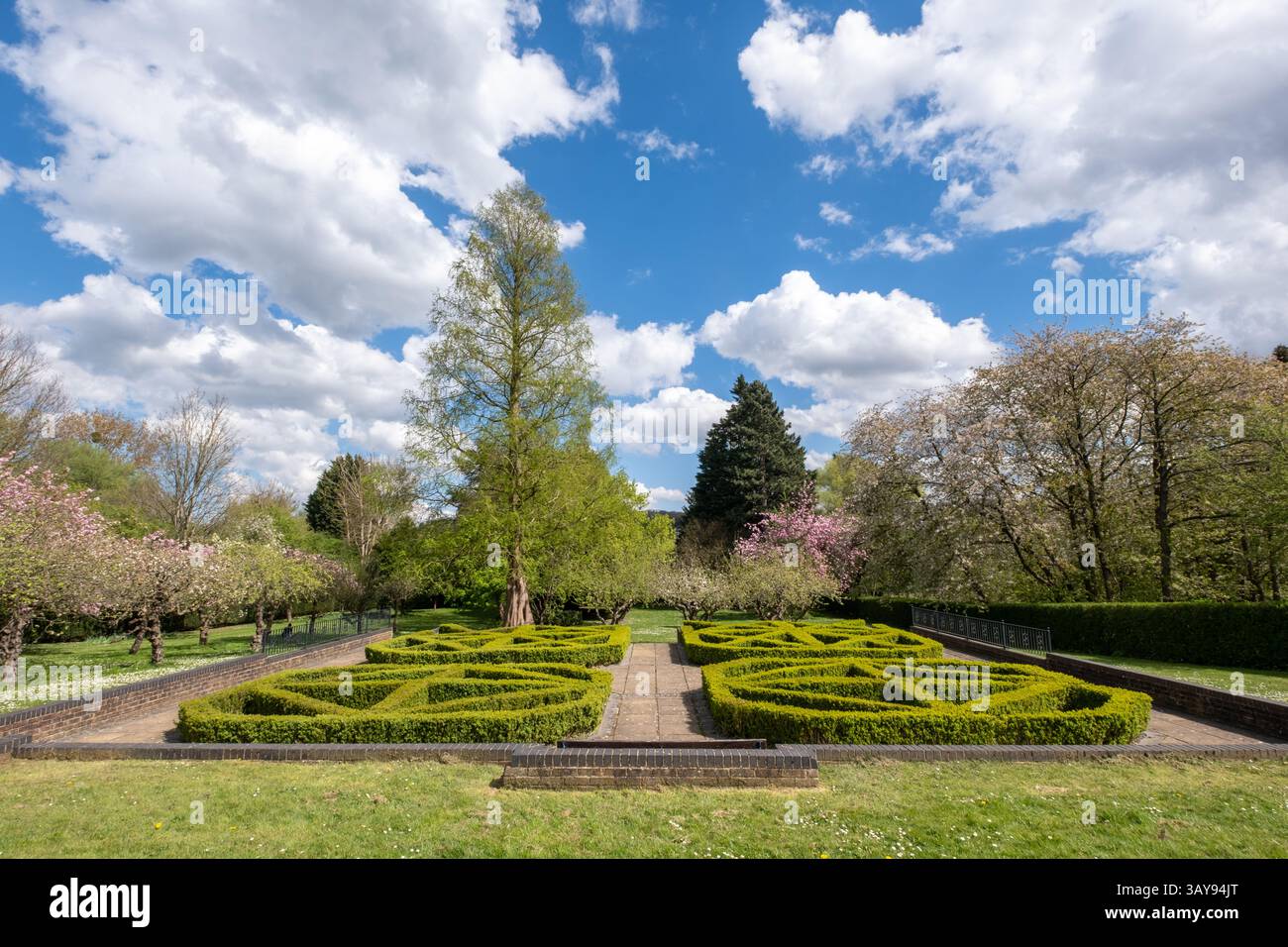 Un jour de printemps avec la fleur d'arbre Banque D'Images