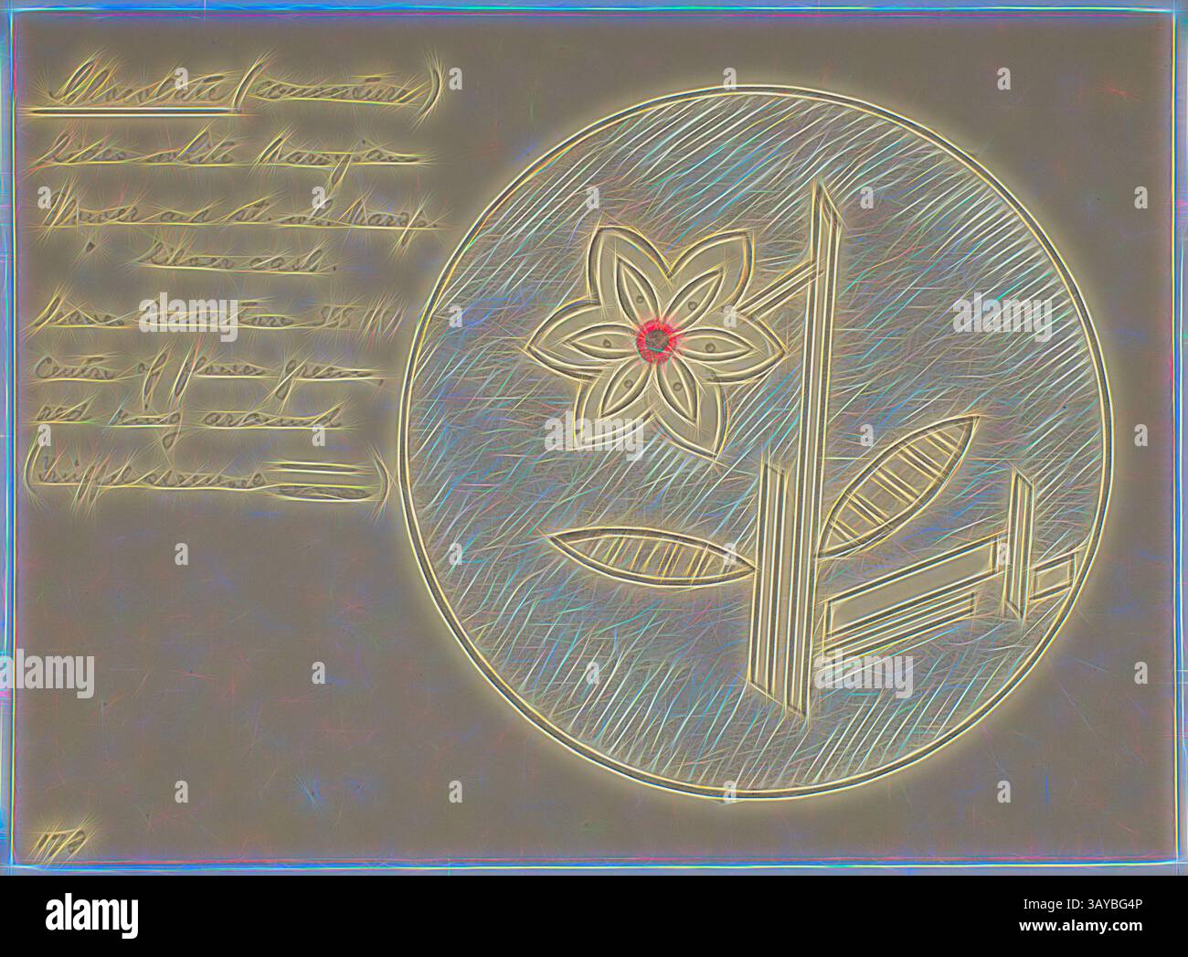 Un dessin stylisé d'une fleur comporte un point central rouge, entouré d'une tige et de feuilles courbes. La présentation artistique est renforcée par des lignes décoratives, et le texte d'accompagnement fournit des détails scientifiques sur la plante., Cake Design - Karl Muffler, Flower, 1930s-1950s, Cake Design avec une fleur, dessiné en couleur par Karl Muffler et utilisé par lui au cours de sa carrière de pâtissier et confiseur à Melbourne à partir des années 1930 Cet article concerne Karl Friedrich Muffler, pâtissier qualifié et confiseur, né en 1900, qui a émigré à Melbourne depuis l'Allemagne en 1930, à bord du Banque D'Images