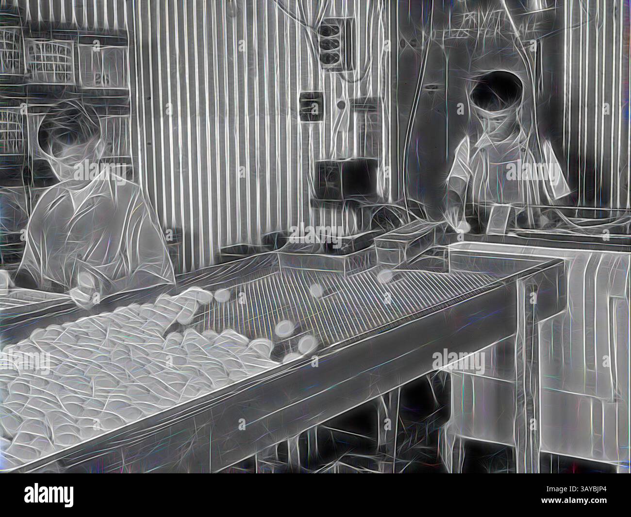 Deux travailleurs se concentrent intensément sur leurs tâches dans un environnement industriel occupé, entourés de rangées d'articles sur un tapis roulant. Un travailleur trie et inspecte les articles de près, tandis que l'autre exploite les machines, contribuant ainsi à l'efficacité du flux de travail dans l'espace. L'environnement est rempli d'étagères et d'équipements, soulignant l'atmosphère industrielle., Glass Negative - State Electricity Commission, Mickleham, Victoria, Dec 1945, fait partie d'une grande collection photographique de plaques de verre et négatifs de film, tirages photographiques et albums photo, relatifs au développement de l'énergie électrique Banque D'Images