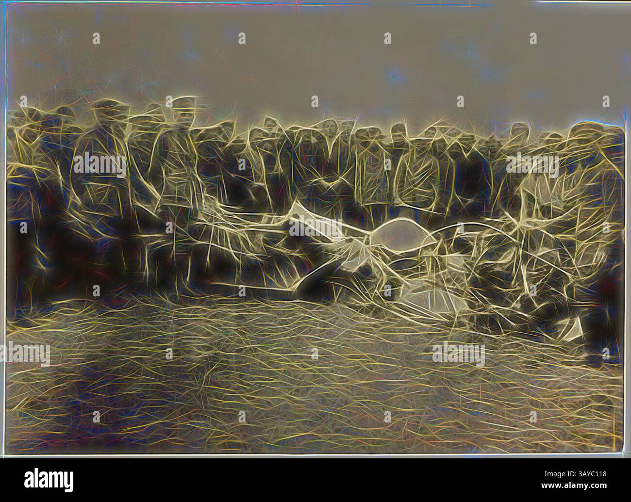 Un groupe de personnes se rassemble autour d'un grand objet, observant attentivement. Leurs expressions sont variées, reflétant la curiosité et la contemplation. La scène transmet un sentiment d'importance et d'expérience partagée entre les spectateurs., photographie - inspecter l'épave de l'accident d'avion fatal de Basil Watson, point Cook, Victoria, 28 mars 1917, partie d'un album photographique commémoratif produit par Sears' Studios, Melbourne, documentant le travail de Basil Watson dans la construction d'un biplan à la maison familiale 'Foilacleugh' à Elsternwick, Victoria, en 1916, et les suites de son accident fatal Banque D'Images