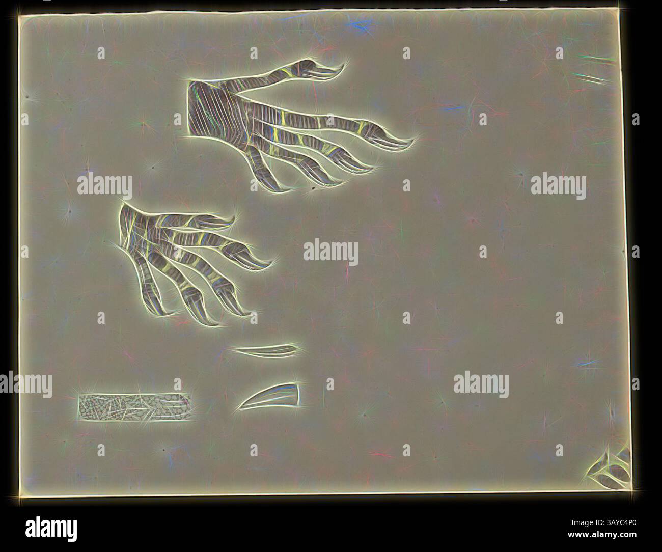 Le dessin au trait complexe représente deux mains stylisées atteignant une forme fragmentée en dessous, évoquant un sentiment de mouvement et de connexion. La composition combine des formes organiques avec des éléments géométriques, créant une interaction unique entre les deux., illustration - crayon sur papier, moniteur de dentelle, Varanus varius (Blanc, ex Shaw) par Frederick Schoenfeld. Dessin, crayon sur papier, 15cm x 19cm. Publié comme planche 41 dans The Prodromus of the Zoology of Victoria par Frederick McCoy., art classique avec une touche moderne réinventé par Artotop Banque D'Images