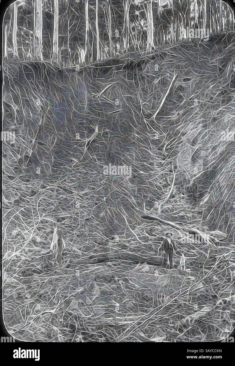 Une scène forestière sereine avec un enchevêtrement de branches tombées et de brindilles sur le sol de la forêt, entouré de grands arbres minces qui atteignent le haut. L'atmosphère est calme mais légèrement mystérieuse, avec des textures naturelles créant de la profondeur et de l'intérêt., Lantern Slide - Landslip, Dandenongs, Victoria, juillet 1891, Black and White lanterne toboggan qui a peut-être été prise par A.J. Campbell de l'énorme glissement de terrain qui a eu lieu en 1891 dans ce qui est maintenant connu sous le nom de Dandenong Ranges National Park. Le gentleman sur l'image n'a pas été identifié. Le glissement de terrain s'est produit dans la région de Montrose en début d'après-midi Banque D'Images