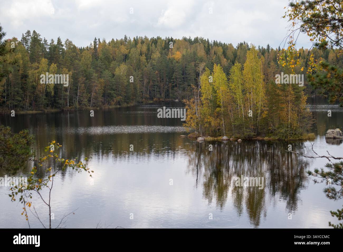 Un lac nordique avec une petite île au milieu au début de la saison d'automne. Banque D'Images