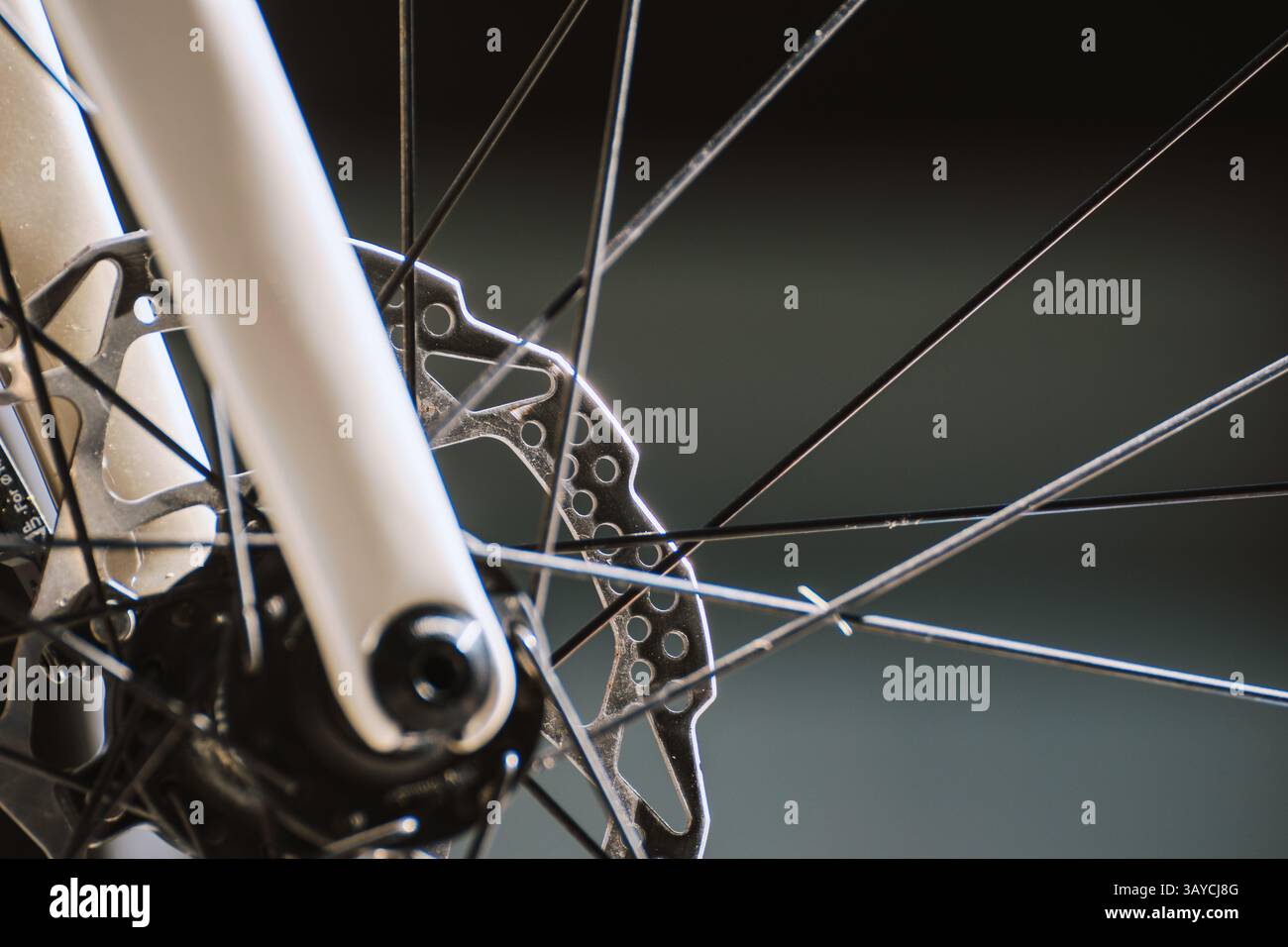 vue de détail d'une roue de vélo avec technologie de frein à disque, détail technique d'une roue avant de vélo Banque D'Images