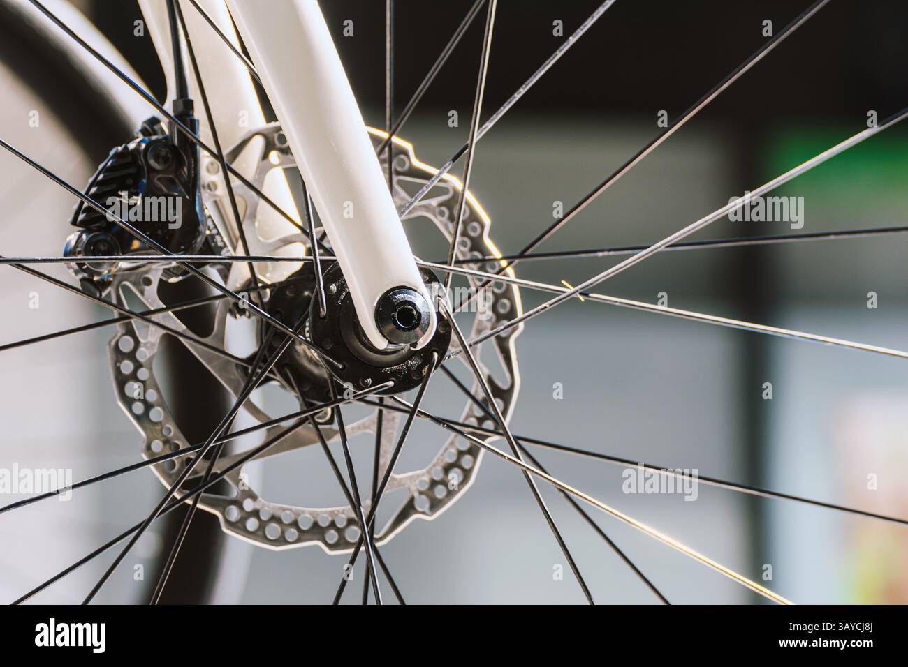 vue rapprochée des rayons et du disque de frein sur un vélo, détail technique d'une roue avant de vélo Banque D'Images