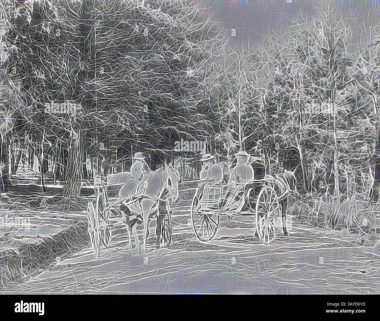 Une calèche tirée par des chevaux attend à côté d'un chemin boisé, tandis que deux personnages, vêtus d'une tenue d'époque, s'engagent dans la conversation au milieu de l'environnement tranquille et naturel., négatif - femmes dans deux véhicules tirés par des chevaux parlant aux réserves d'eau, Ballarat District, Victoria, vers 1897, femmes dans deux véhicules tirés par des chevaux parlant aux réserves d'eau, Ballarat. Les femmes dans le véhicule à droite sont assises face à l'arrière., Art classique avec une touche moderne réinventée par Artotop Banque D'Images