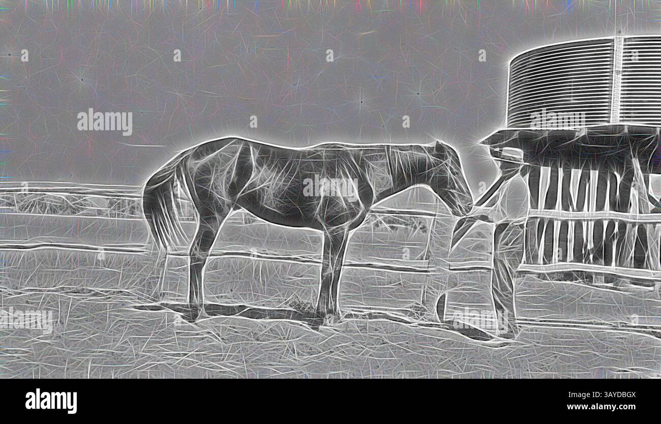 Une scène sereine capturant un cheval et son maître dans un cadre paisible en plein air, entouré d'une clôture et d'un abreuvoir, transmettant un moment de connexion et de compagnie., négatif - homme nourrissant un cheval dans la cour de la station 'Portland Downs', Isisford District, Queensland, 1922, homme nourrissant un cheval à côté d'une clôture à mortaise et tenons à la station 'Portland Downs'. Il porte un pantalon, une chemise à manches longues et un chapeau. Derrière la clôture à droite se trouve un réservoir d'eau surélevé en fer ondulé qui repose sur des pilotis en bois. Il y a des terres agricoles plates dégagées en arrière-plan avec quelques arbres lointains Banque D'Images
