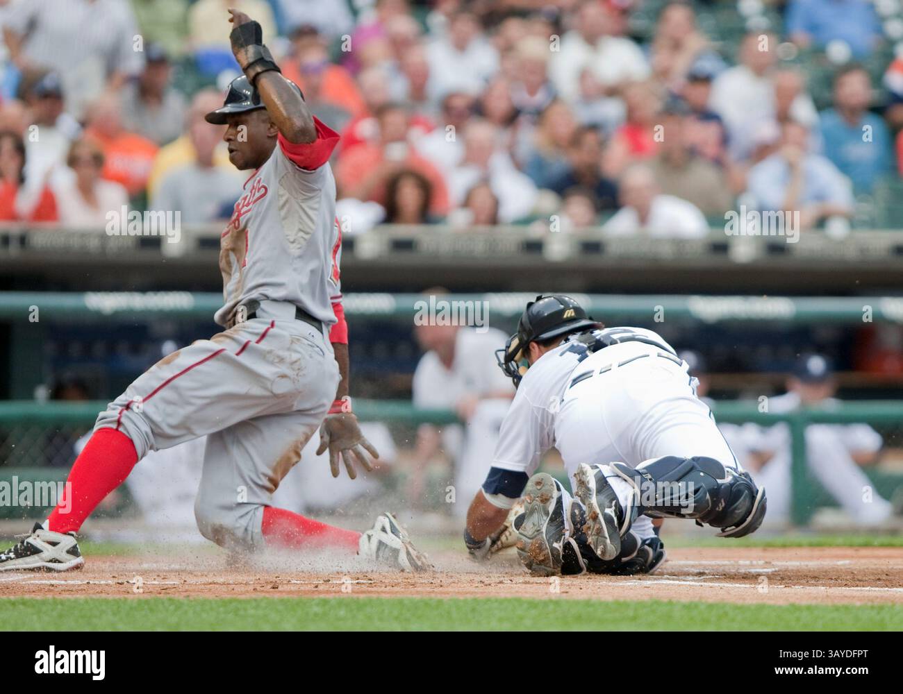 15 juin 2010 : Nyjer Morgan (n°1), joueur du centre des Nationals de Washington, passe devant Gerald Laird (n°12), le receveur des Detroit Tigers, et marque la première course entre les Nationals de Washington et les Detroit Tigers au Comerica Park à Detroit, Michigan. Les Tigres ont battu les nationaux 7-4.(image crédit : © John Mersits/Cal Sport Media/ZUMApress.com) Banque D'Images