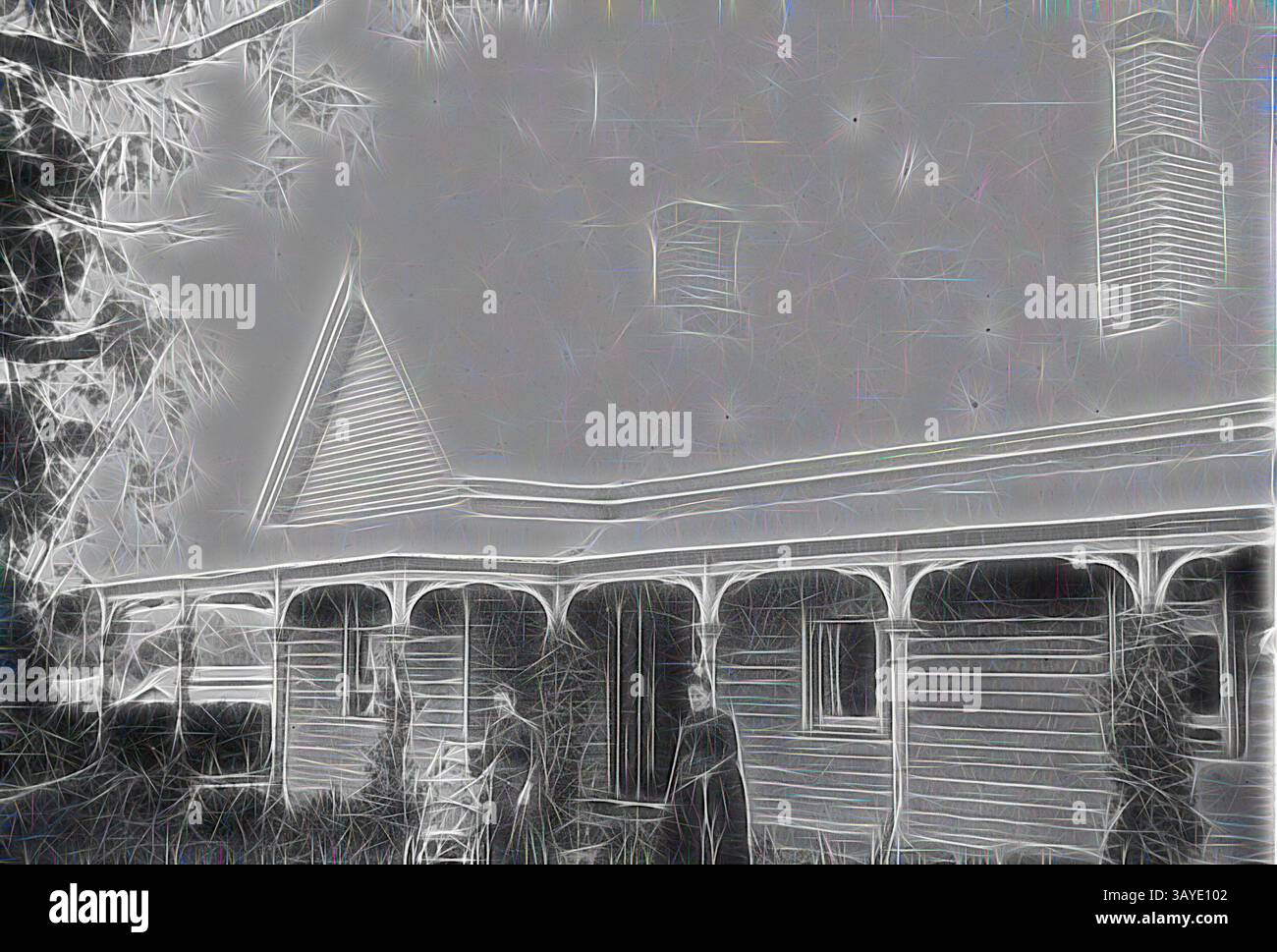 Un charmant bâtiment historique avec des détails architecturaux complexes, entouré d'arbres. Deux personnages se tiennent près de l'entrée, ajoutant un sens de la vie à la scène., négatif - Casterton, Victoria, circa 1890, deux femmes et un enfant devant la maison du Dr Charles Smith., Art classique avec une touche moderne réinventé par Artotop Banque D'Images