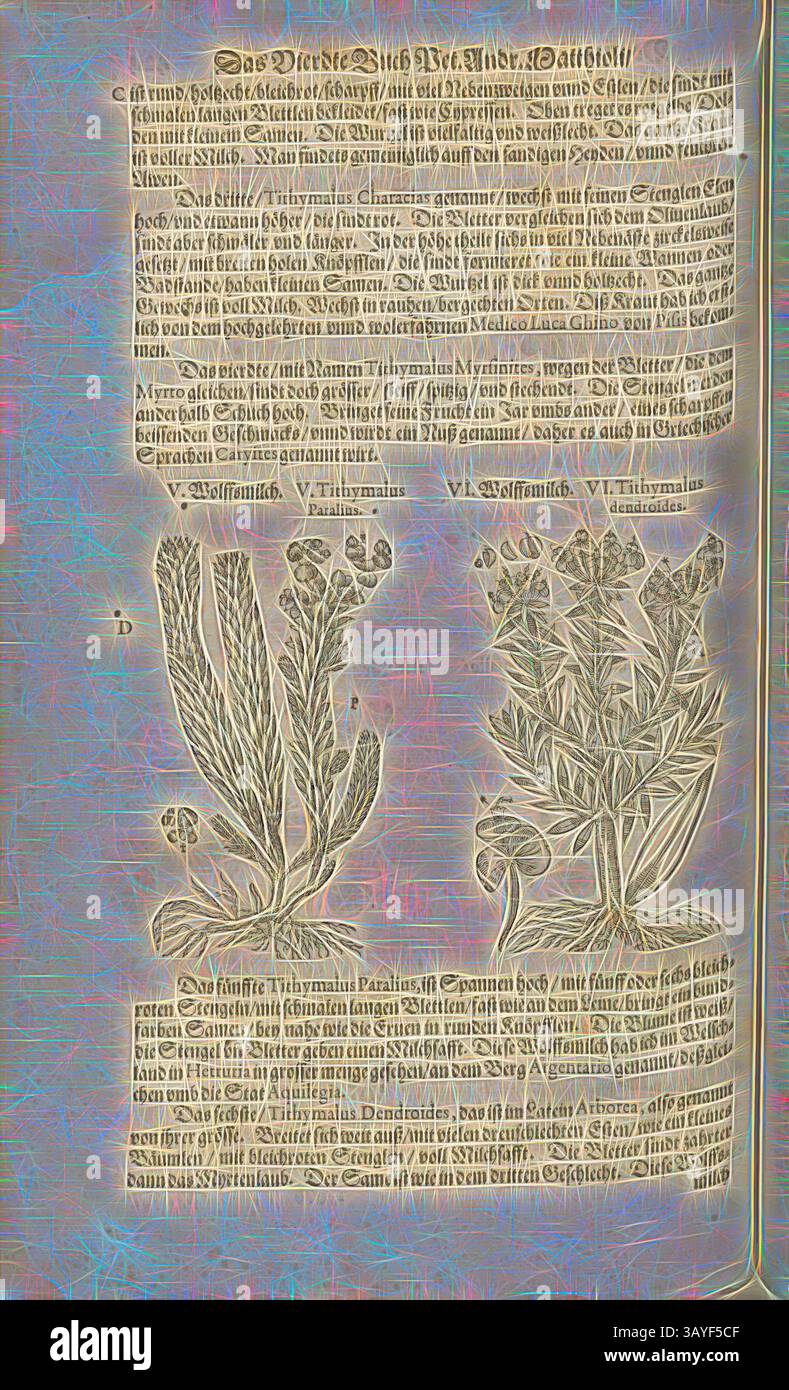 Illustration présentant des dessins botaniques détaillés de diverses plantes, accompagnés d'un texte descriptif dans une police ornée. La disposition met l'accent sur les subtilités de la flore, mettant en valeur leurs formes et structures uniques., Tithimalos Paralios et Tithimalos Trees, Wolff's Milk, Fol. 424v, 1590, Pietro Andrea Mattioli, Joachim Camerarius : Kreuterbuch desz hochgelehrten unnd weitberühmten Herrn D. Petri Andreae Matthioli. Franckfort am Mayn : [Feyrabendt], 1590, Art classique avec une touche moderne réinventé par Artotop Banque D'Images