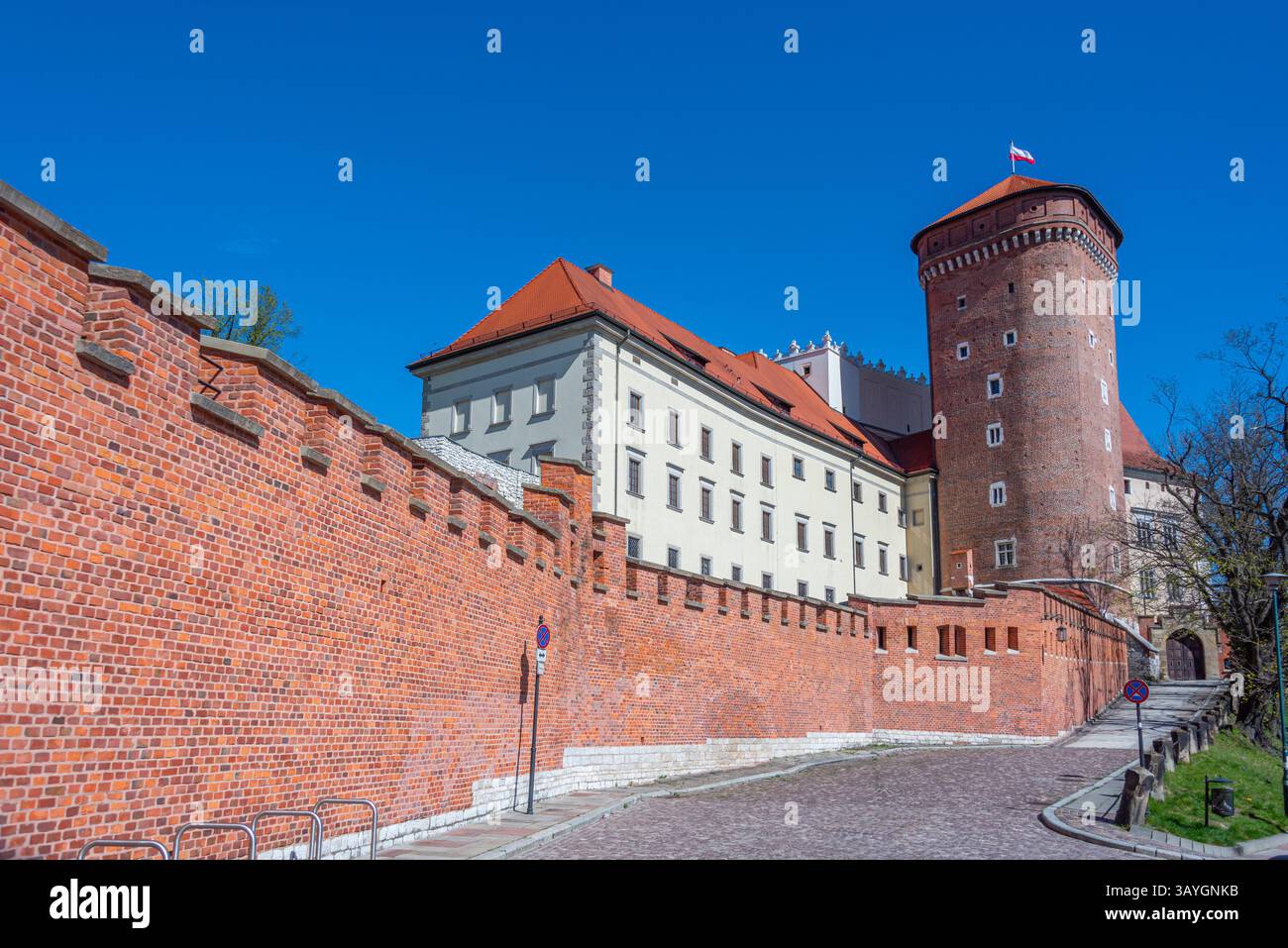 Château de Wawel dans la ville polonaise Cracovie/Cracovie. IMAGE Banque D'Images
